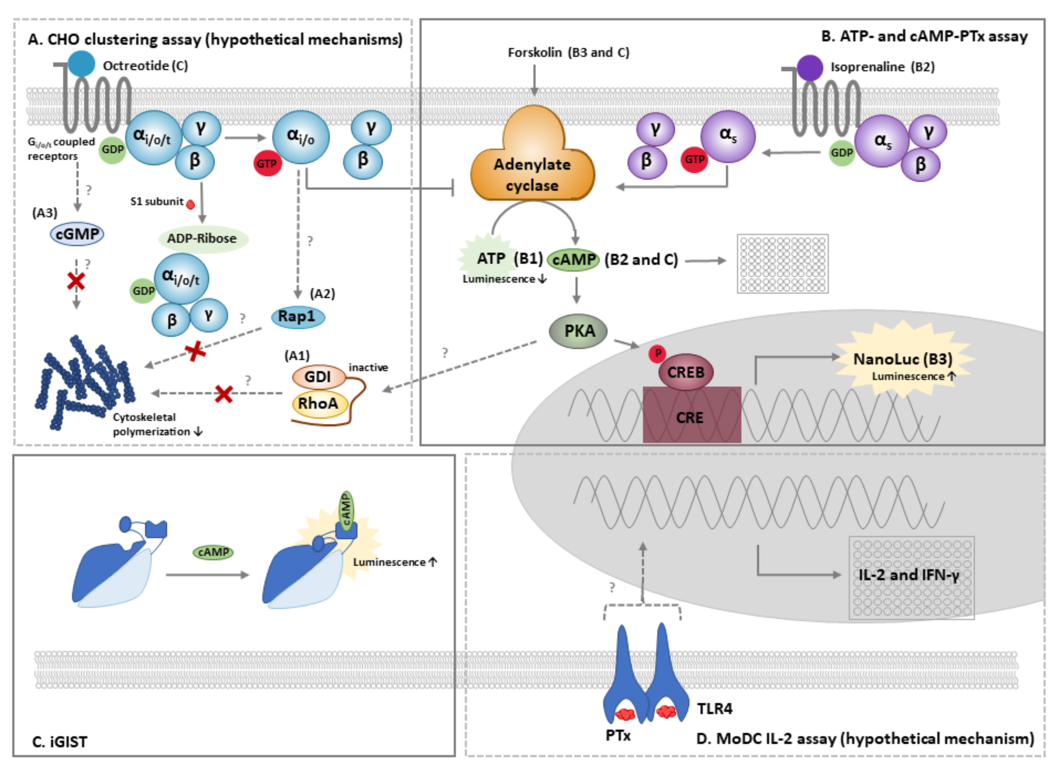 Toxins 13 00565 g003