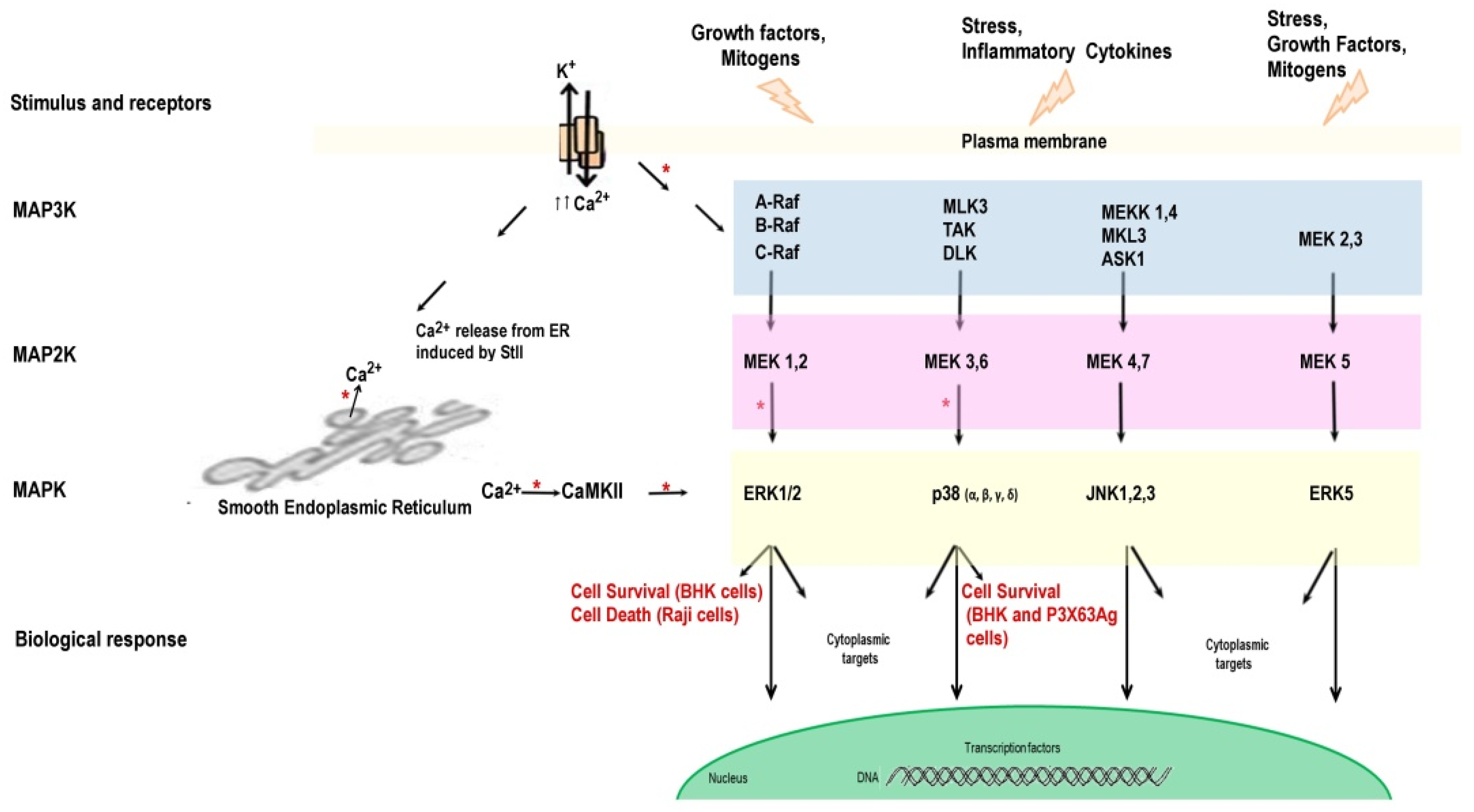Toxins 13 00567 g002