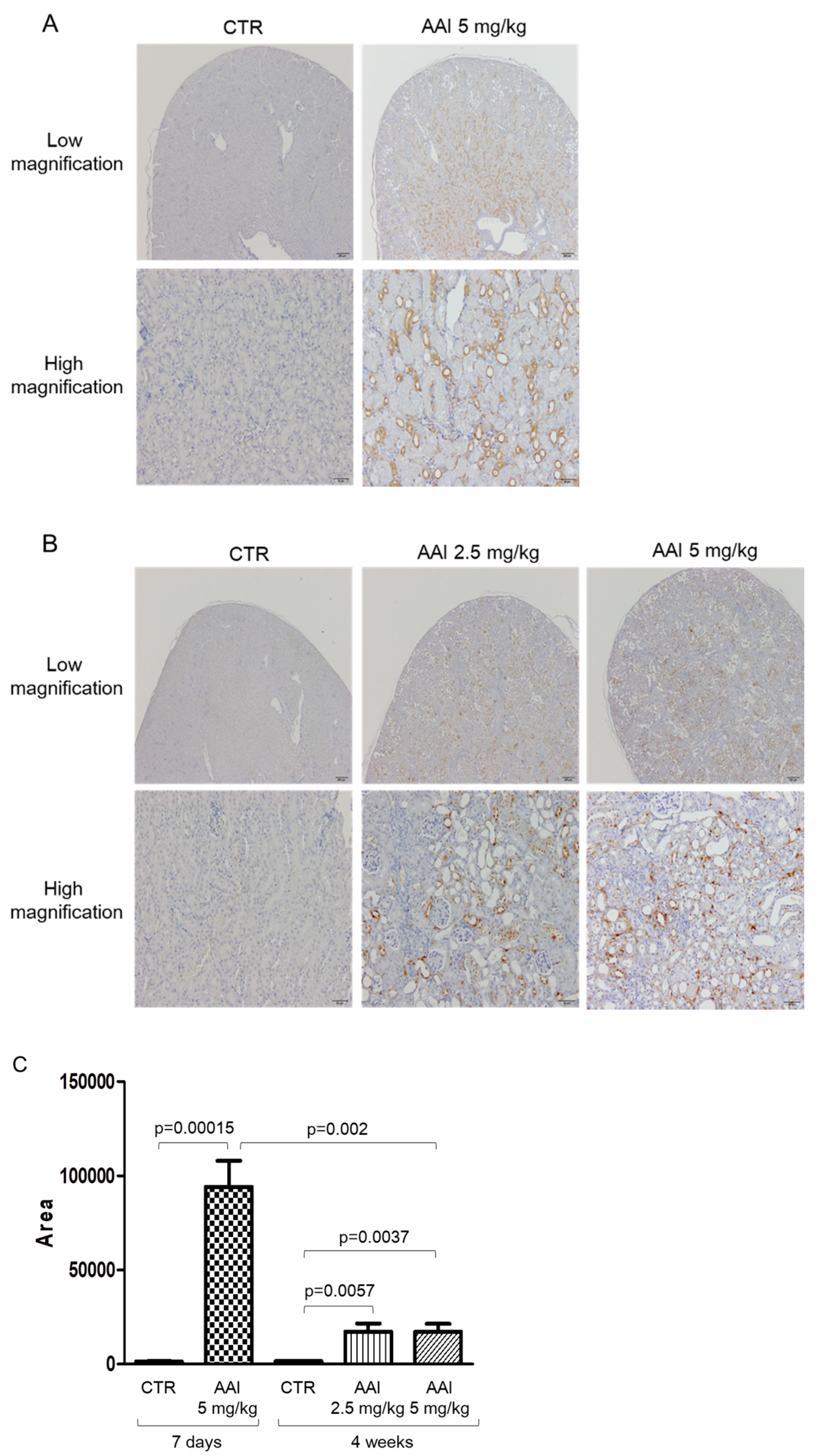 Toxins 13 00568 g002