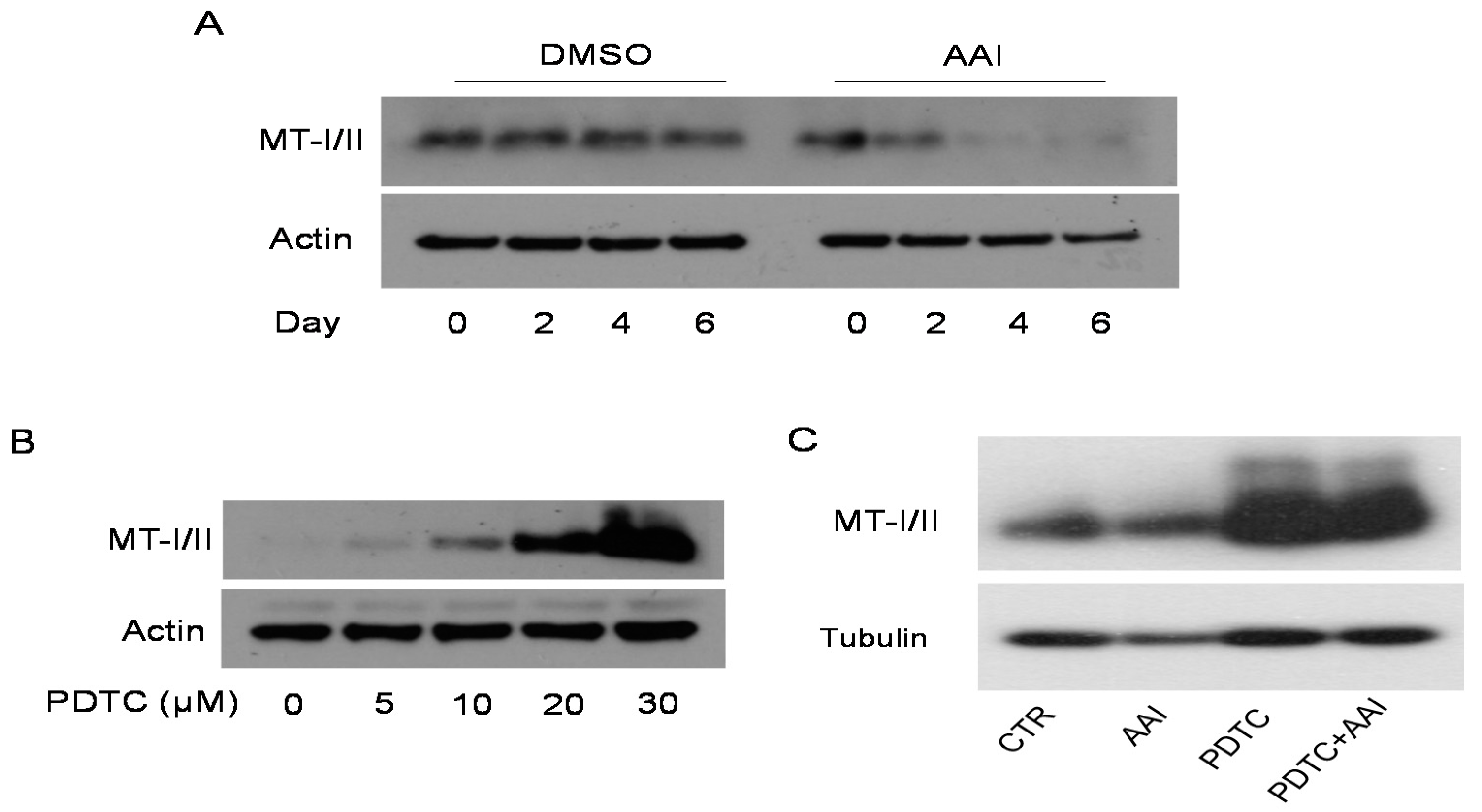 Toxins 13 00568 g004