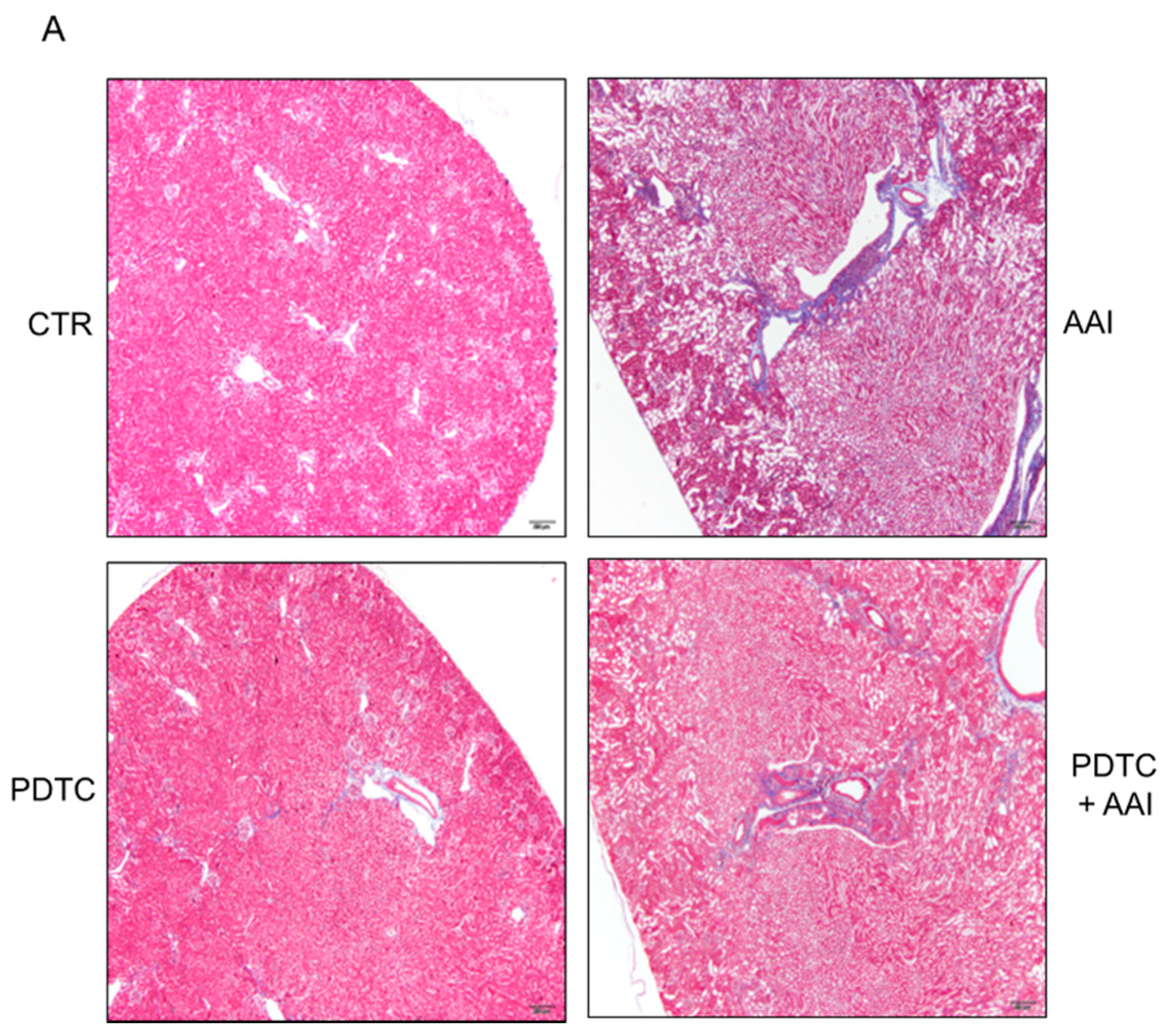 Toxins 13 00568 g006a