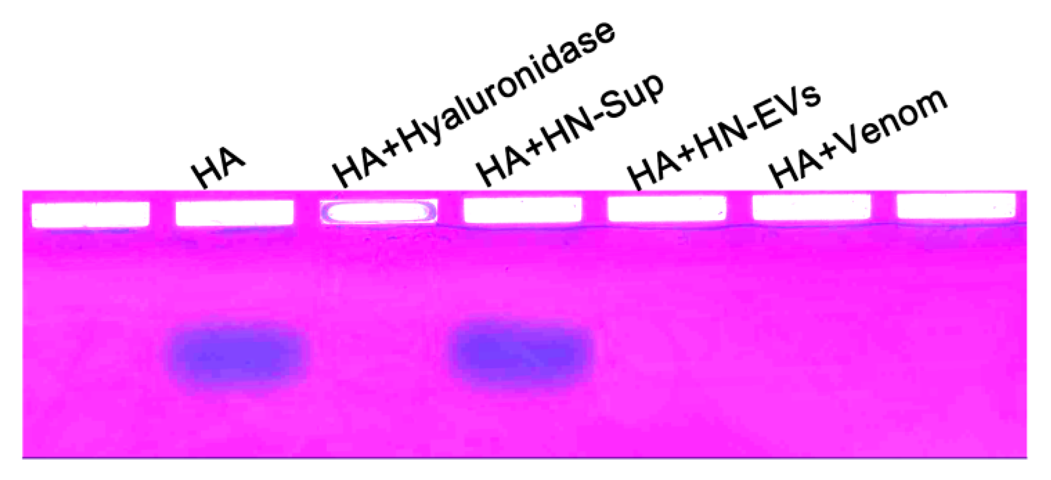 Toxins 13 00579 g005