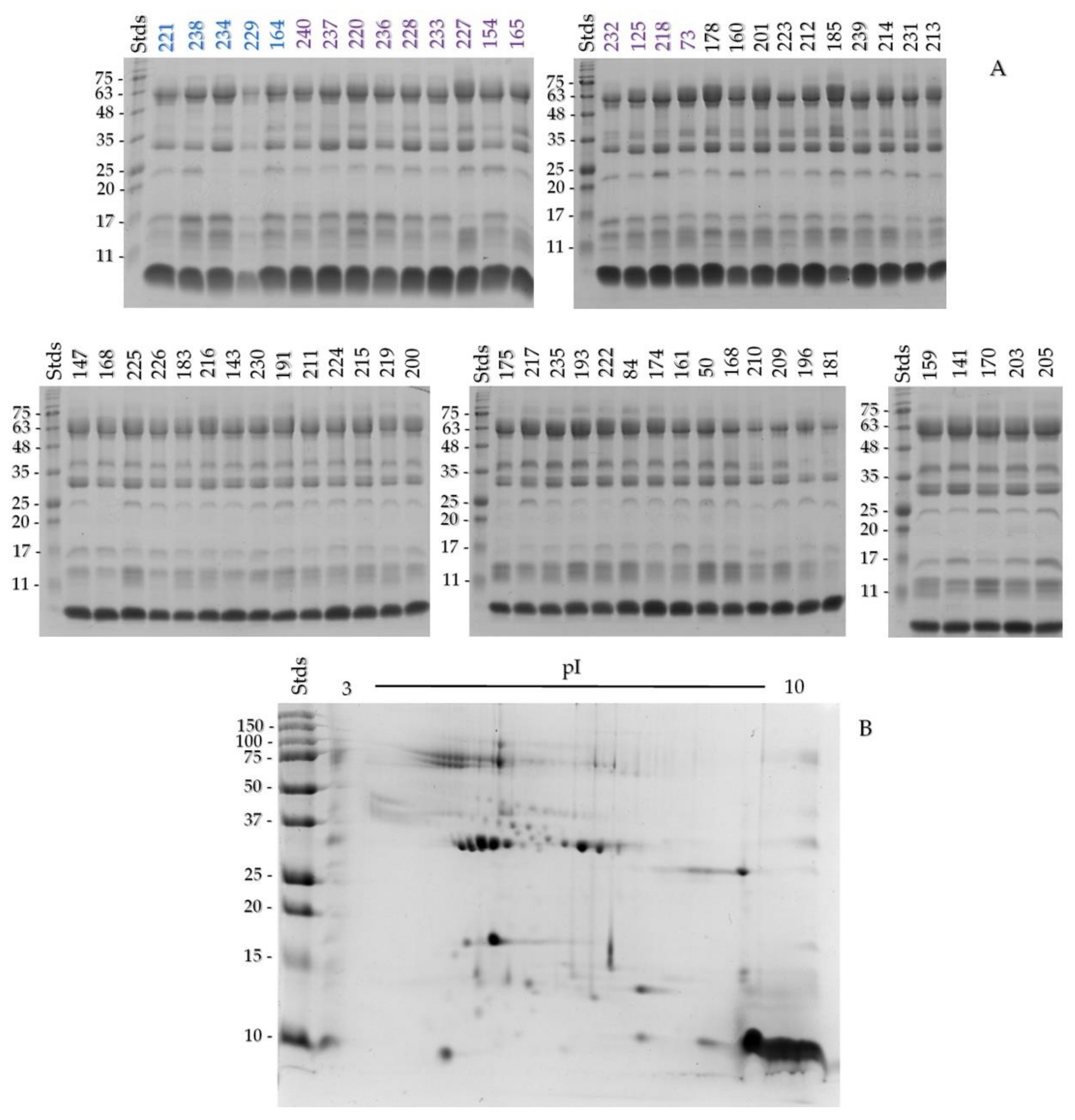 Toxins 13 00582 g002