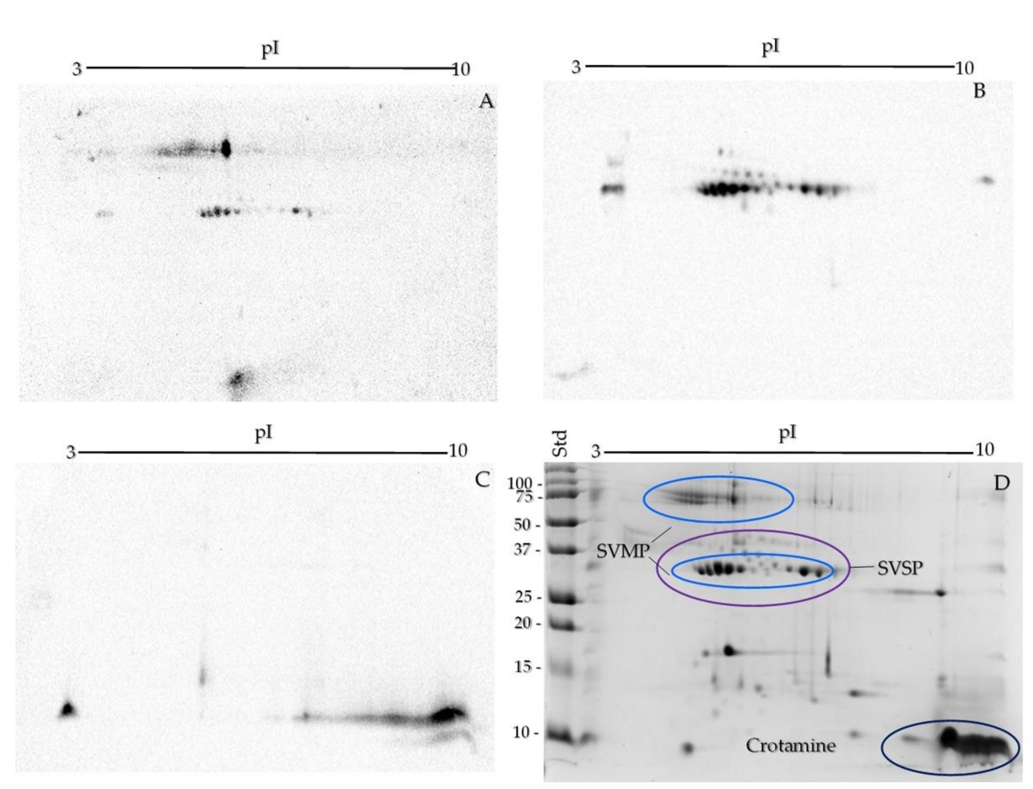 Toxins 13 00582 g004