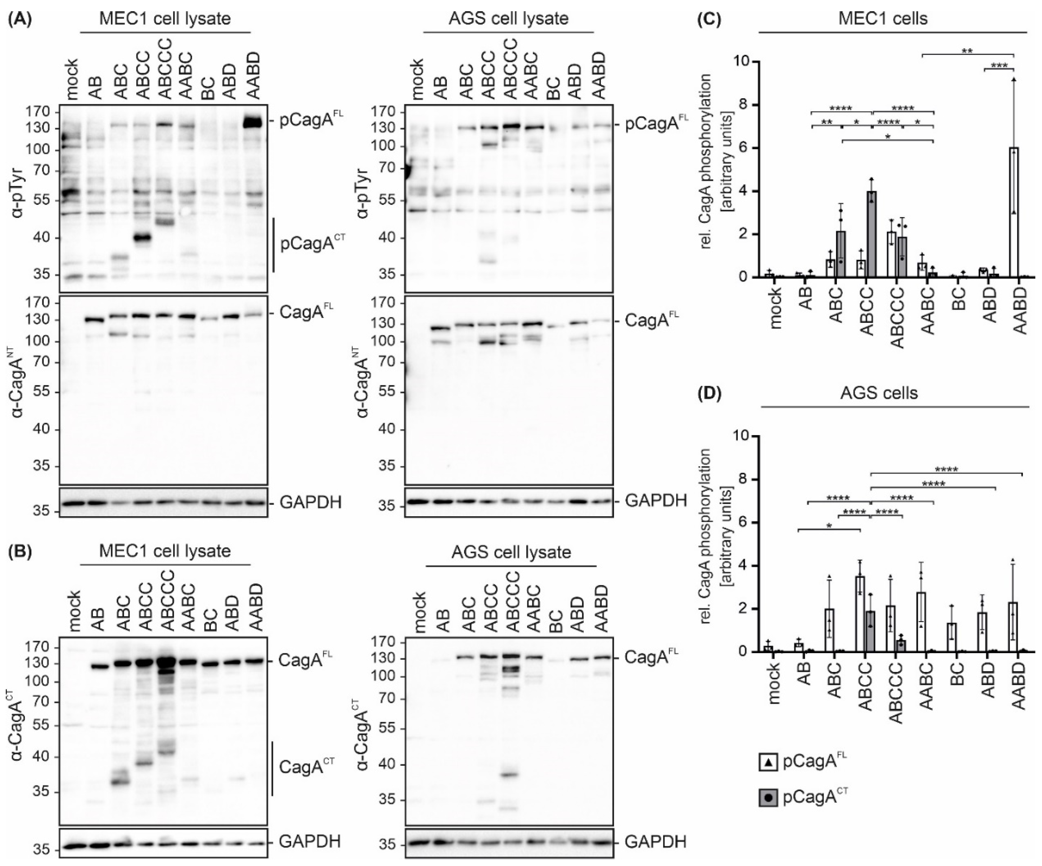 Toxins 13 00592 g002