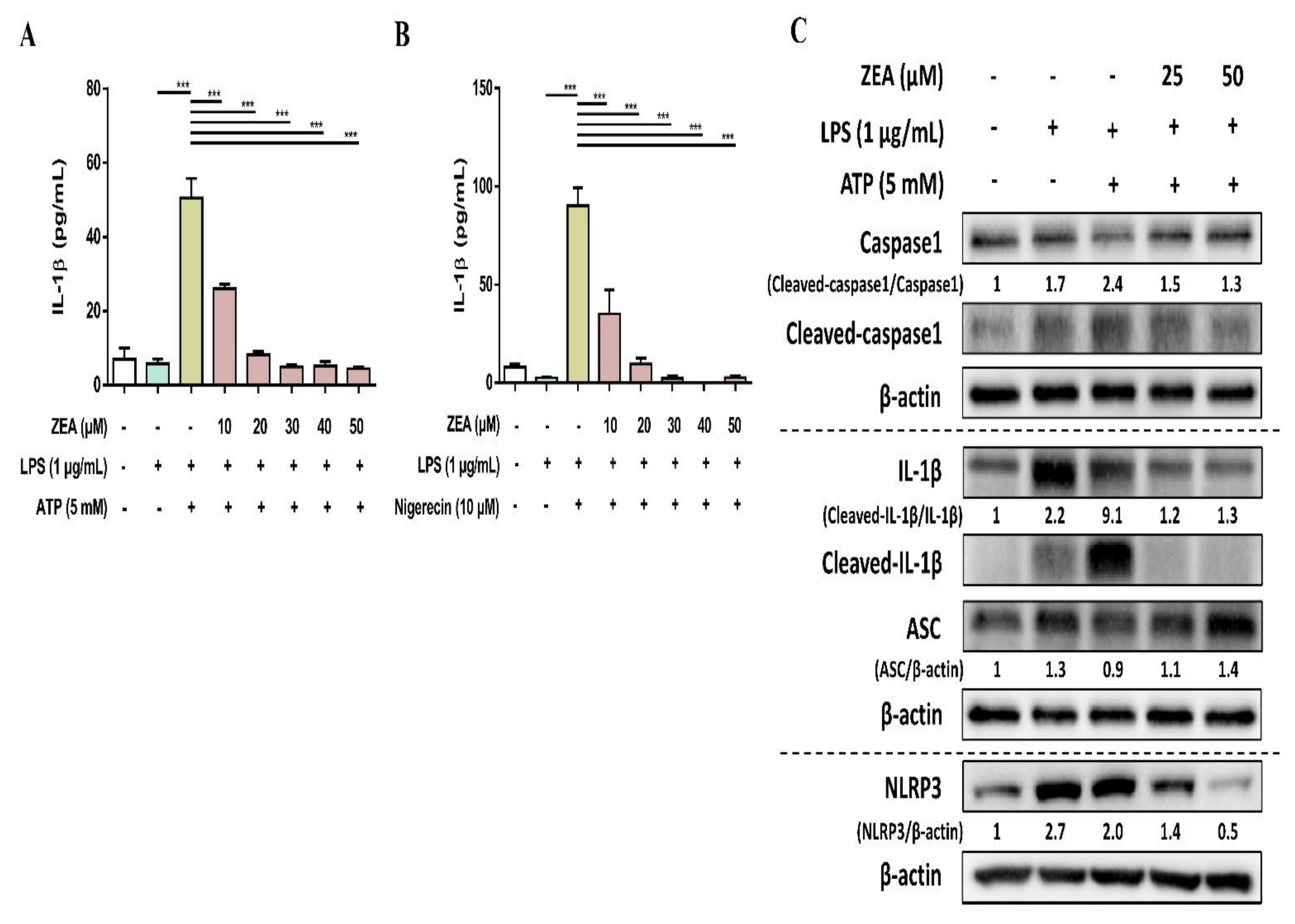 Toxins 13 00593 g004