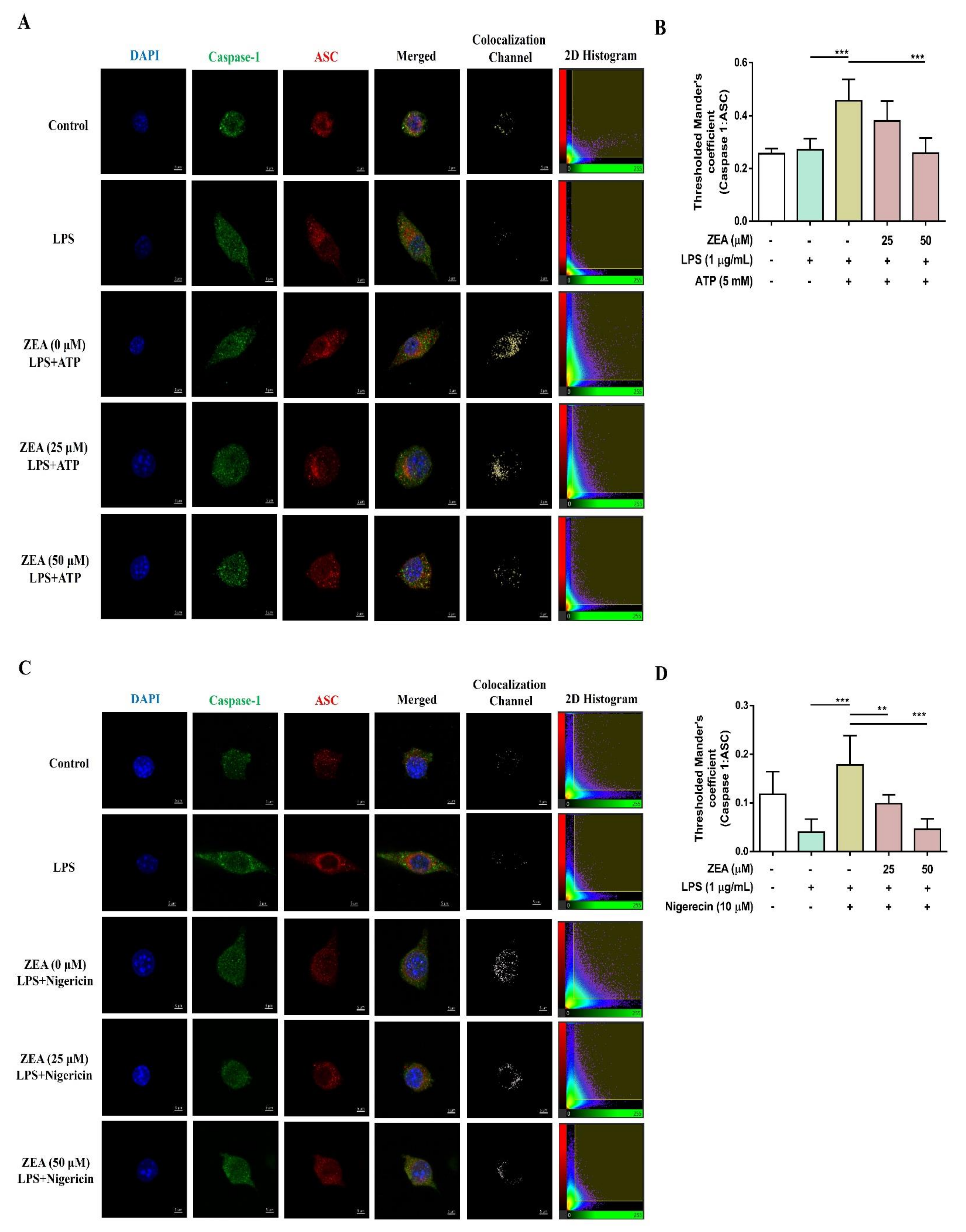 Toxins 13 00593 g005