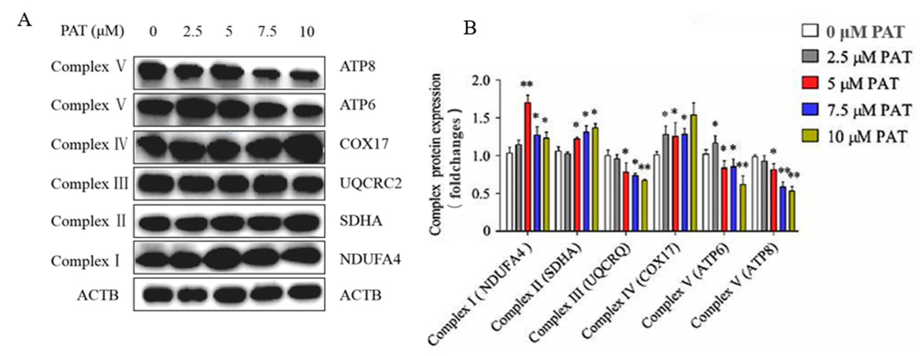 Toxins 13 00595 g005