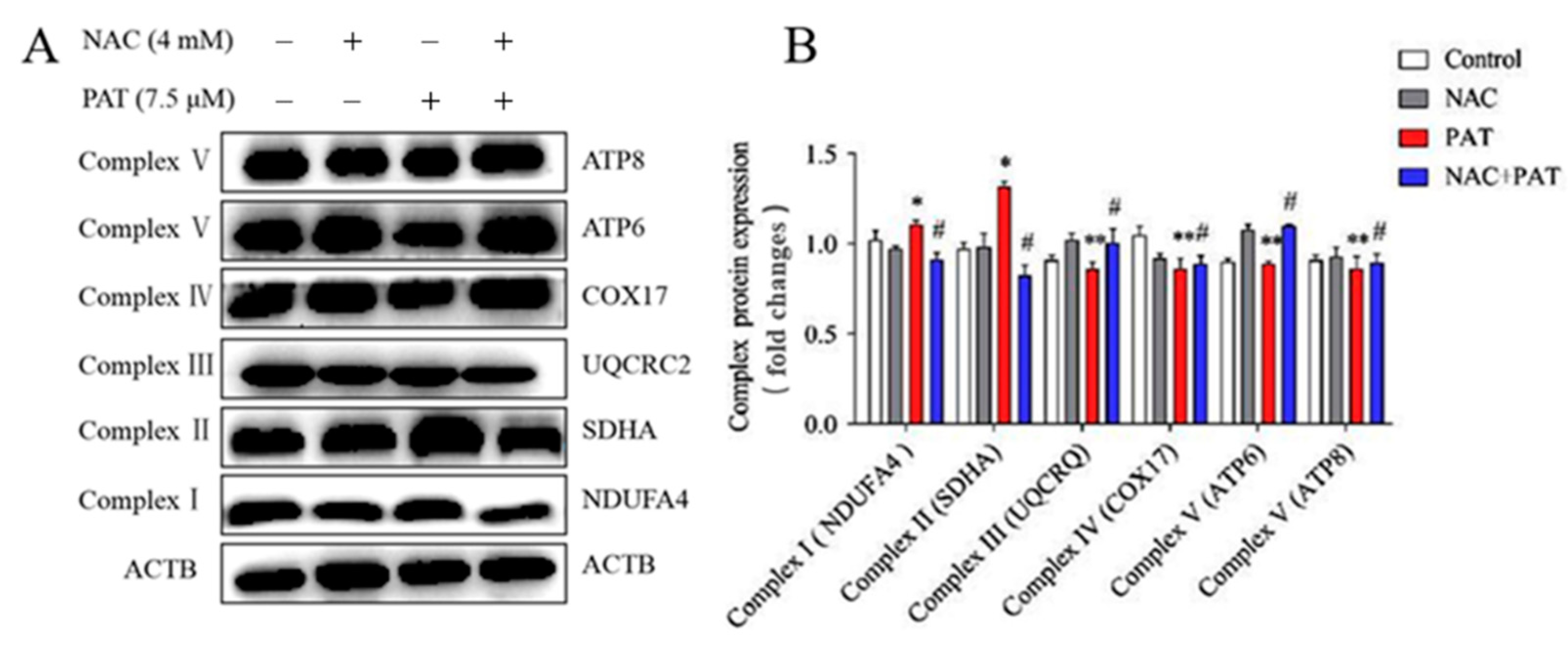Toxins 13 00595 g007