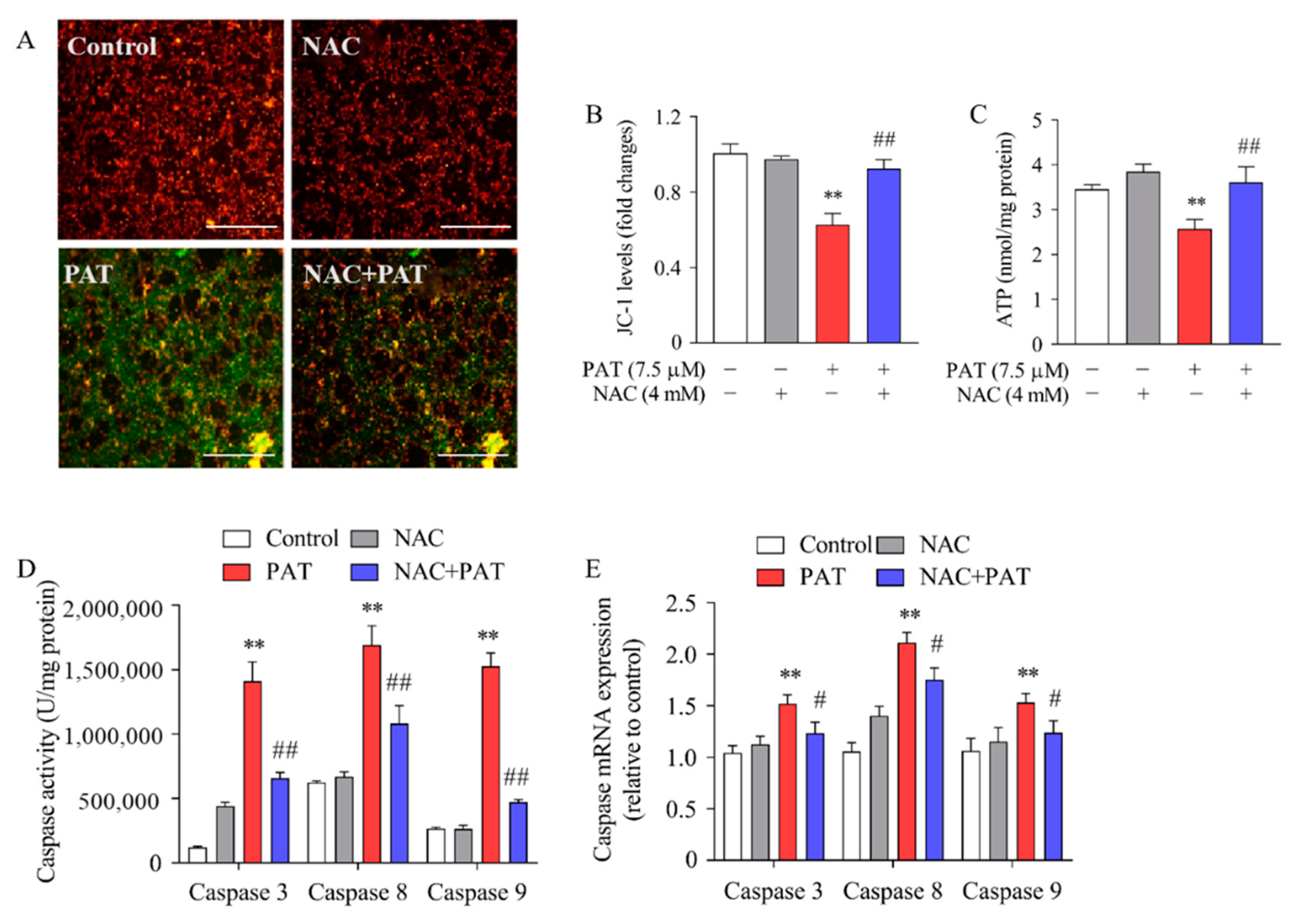 Toxins 13 00595 g009