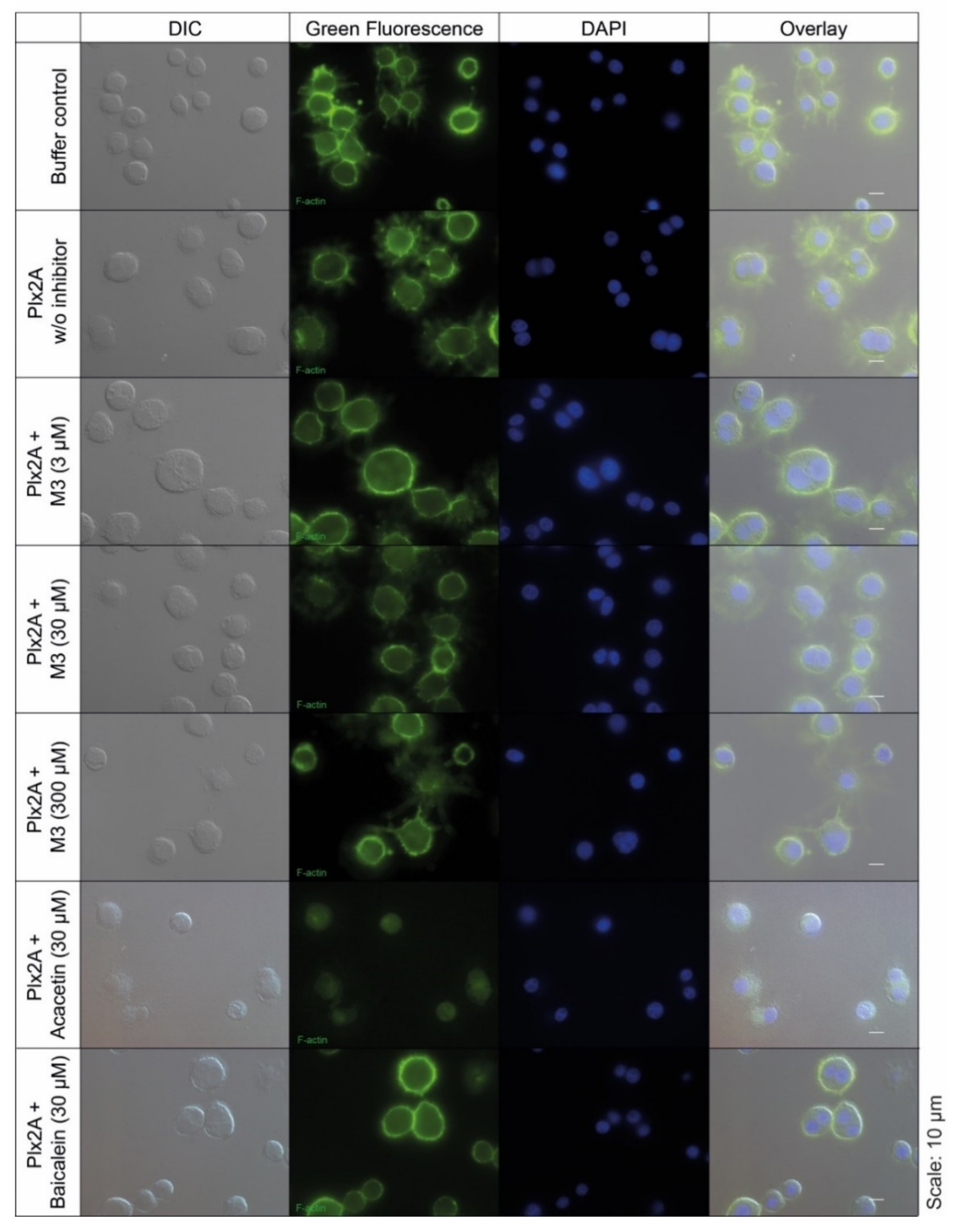 Toxins 13 00607 g002