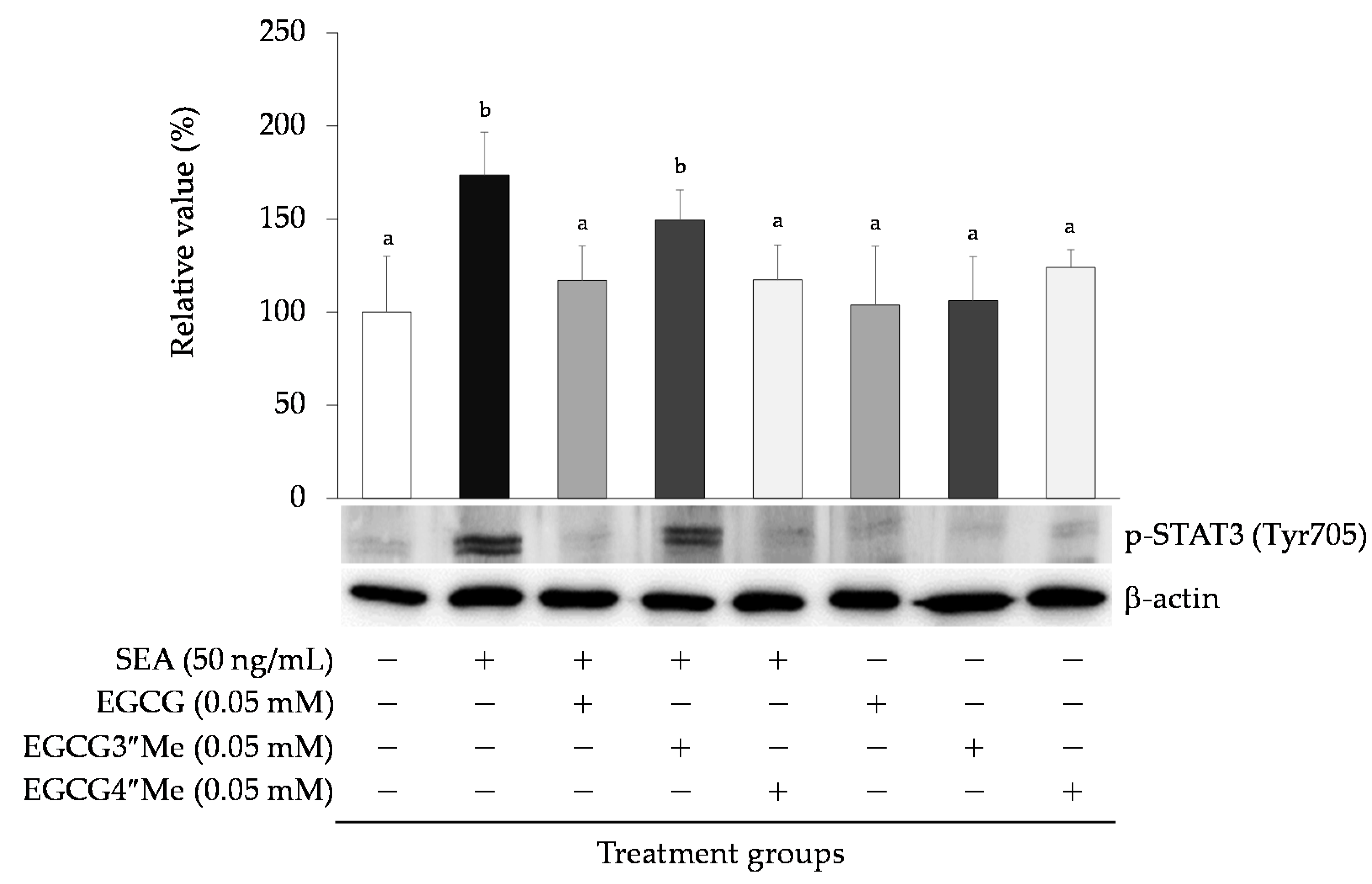 Toxins 13 00609 g005