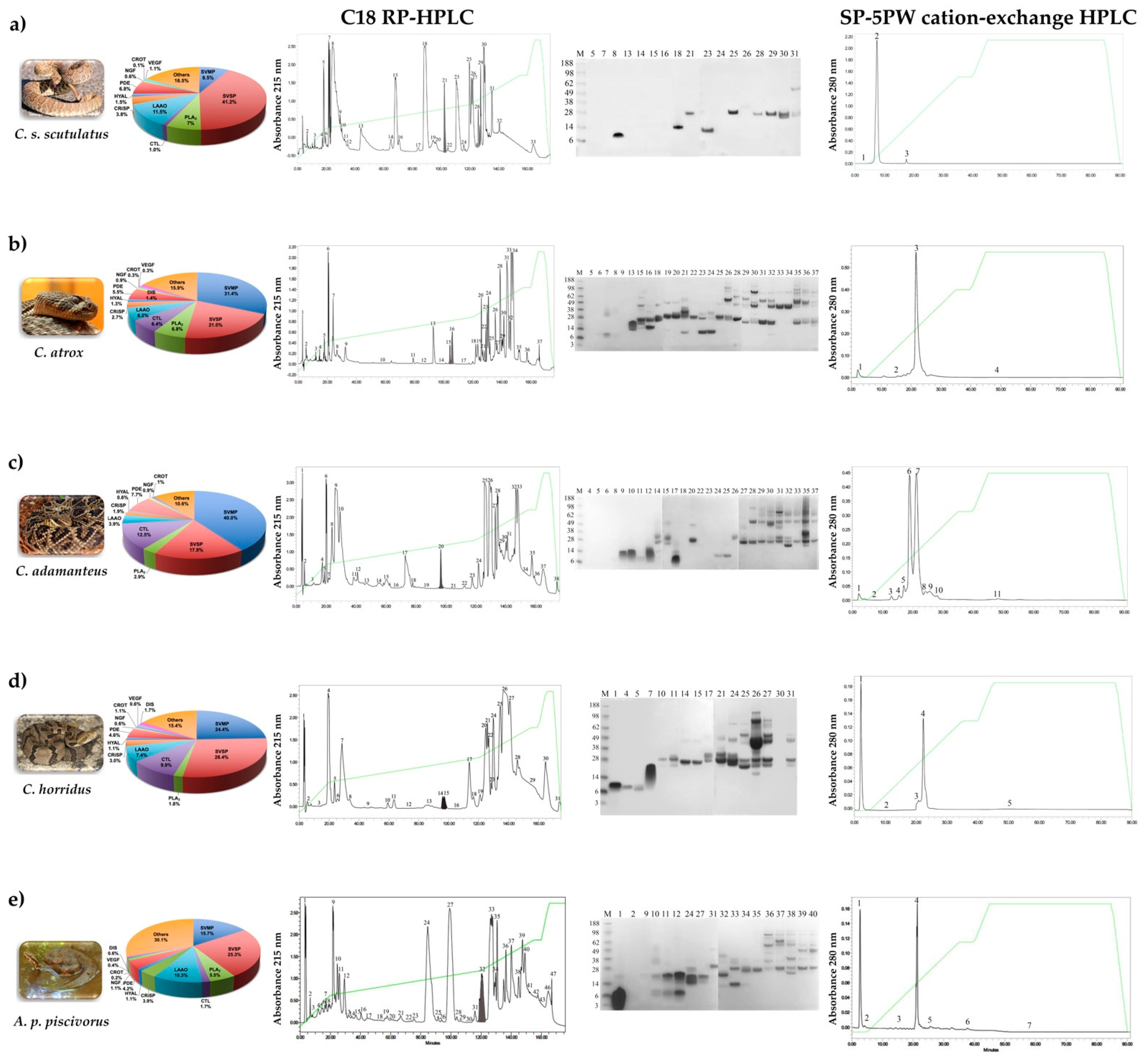 Toxins 13 00613 g001a