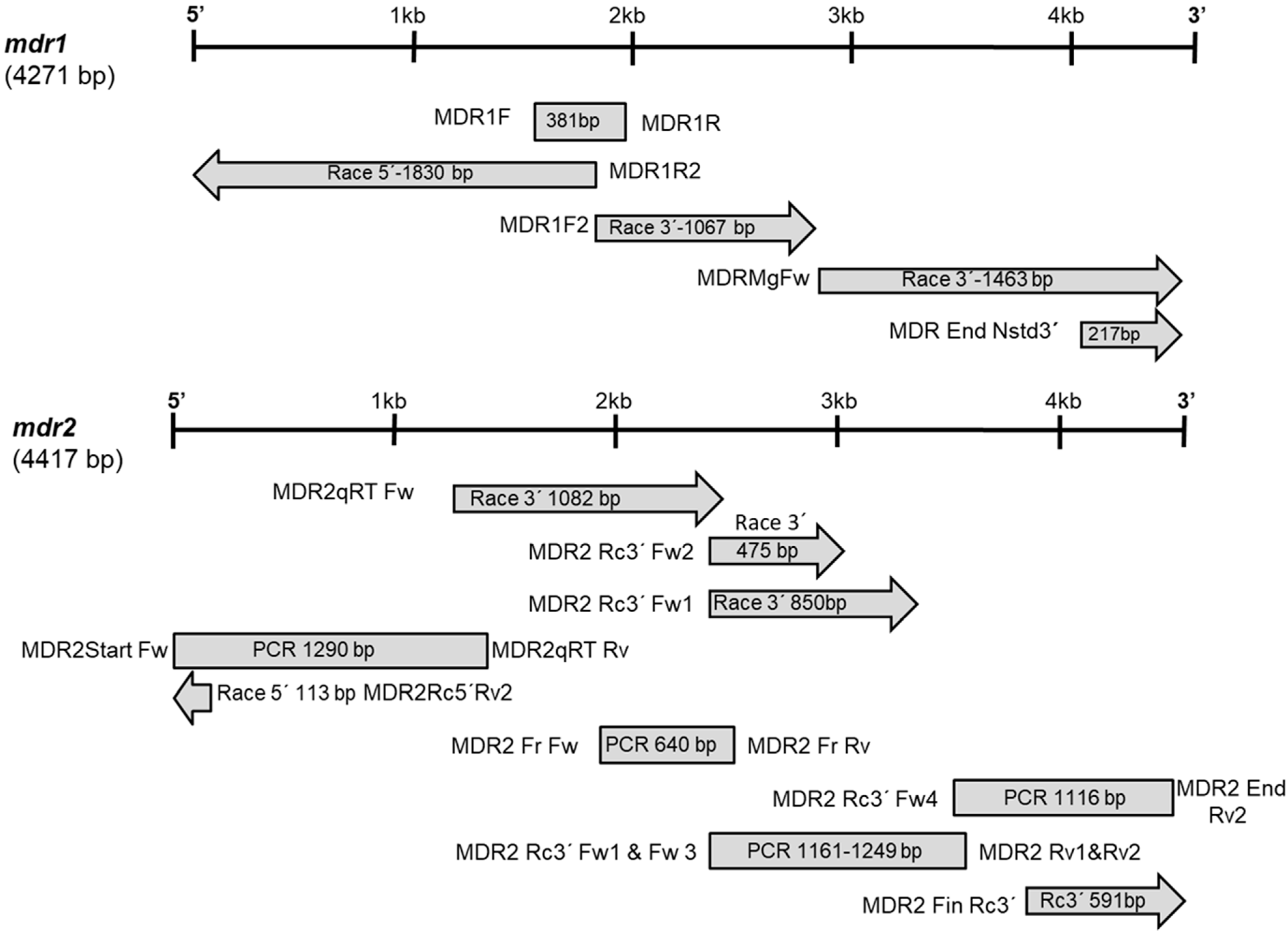 Toxins 13 00614 g001