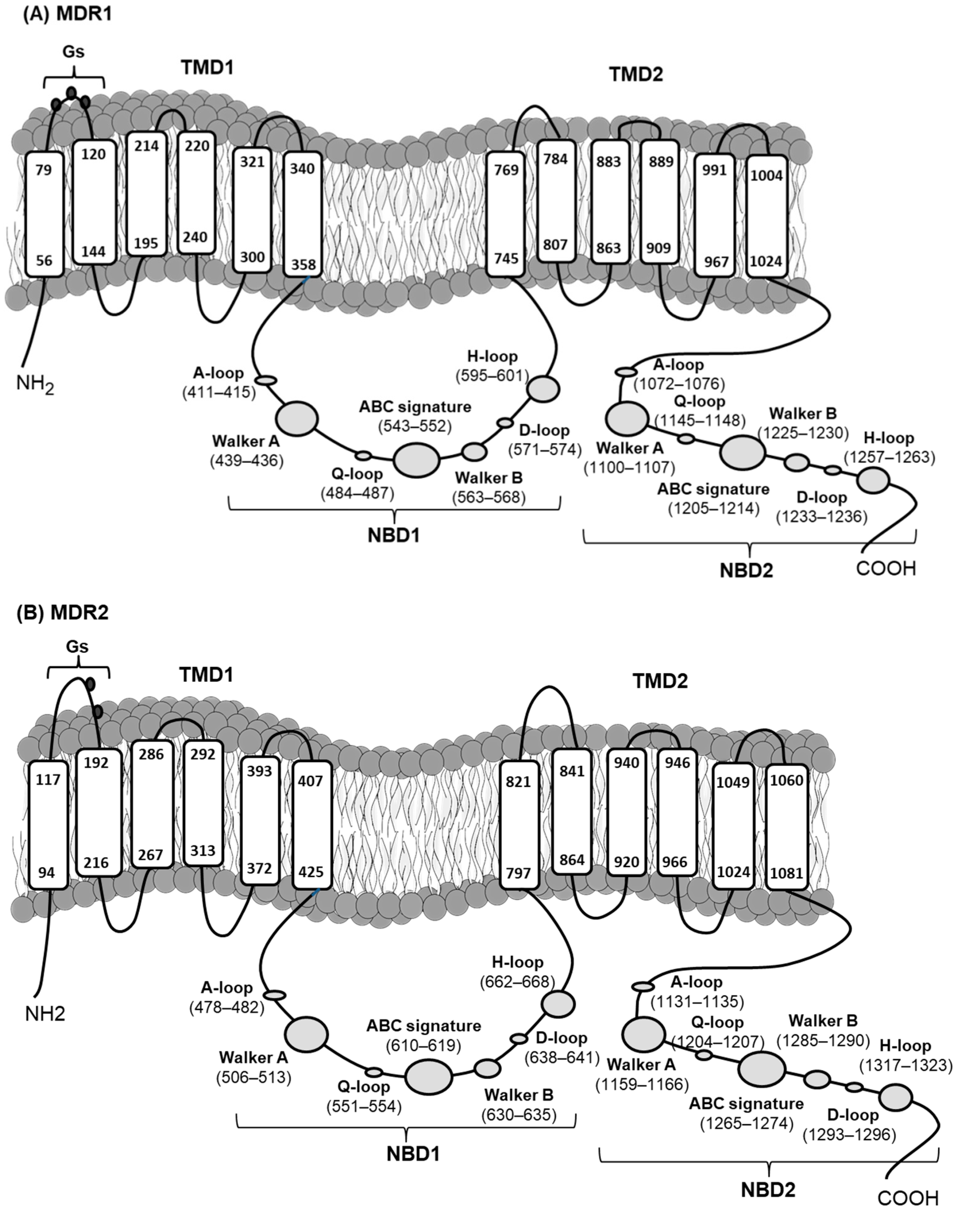 Toxins 13 00614 g003