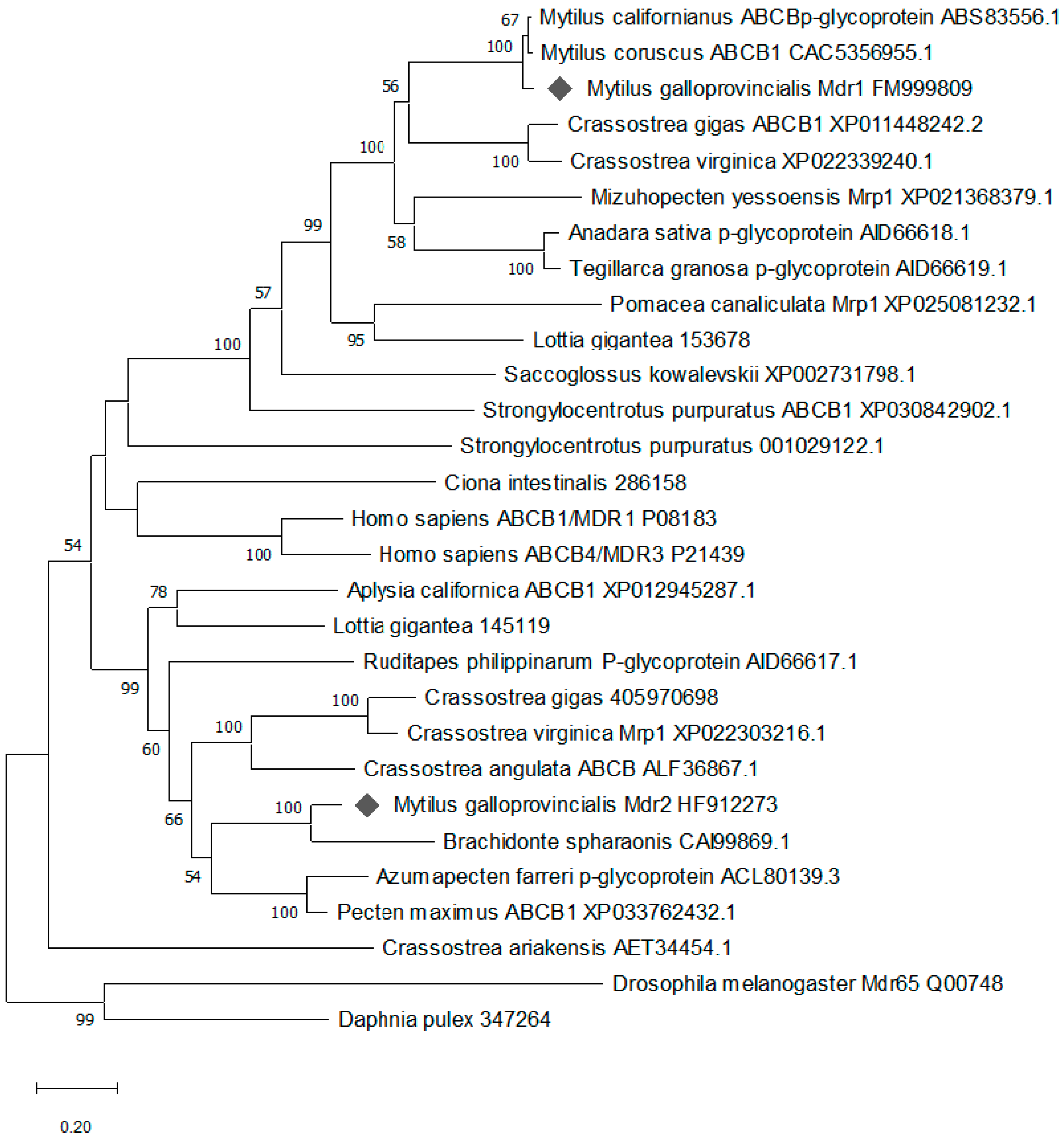 Toxins 13 00614 g004