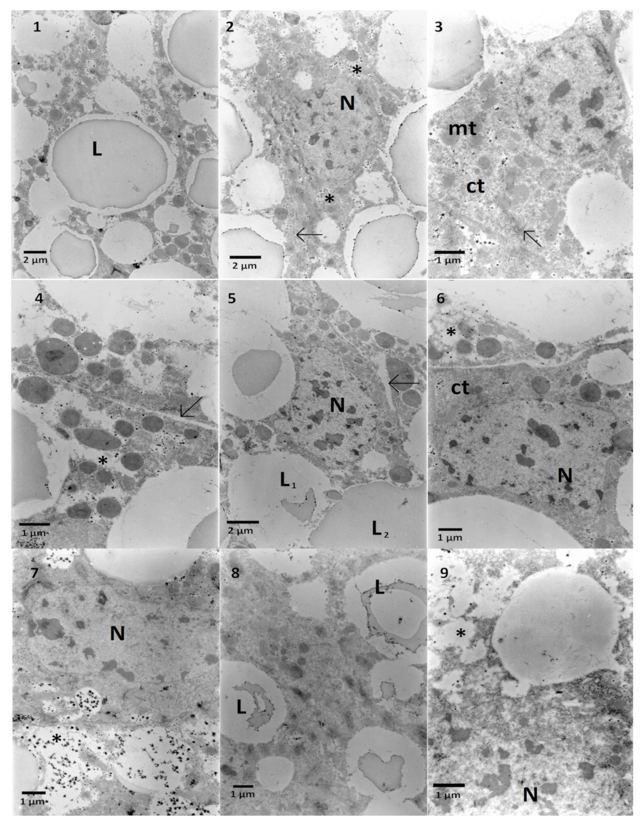 Toxins 13 00617 g005