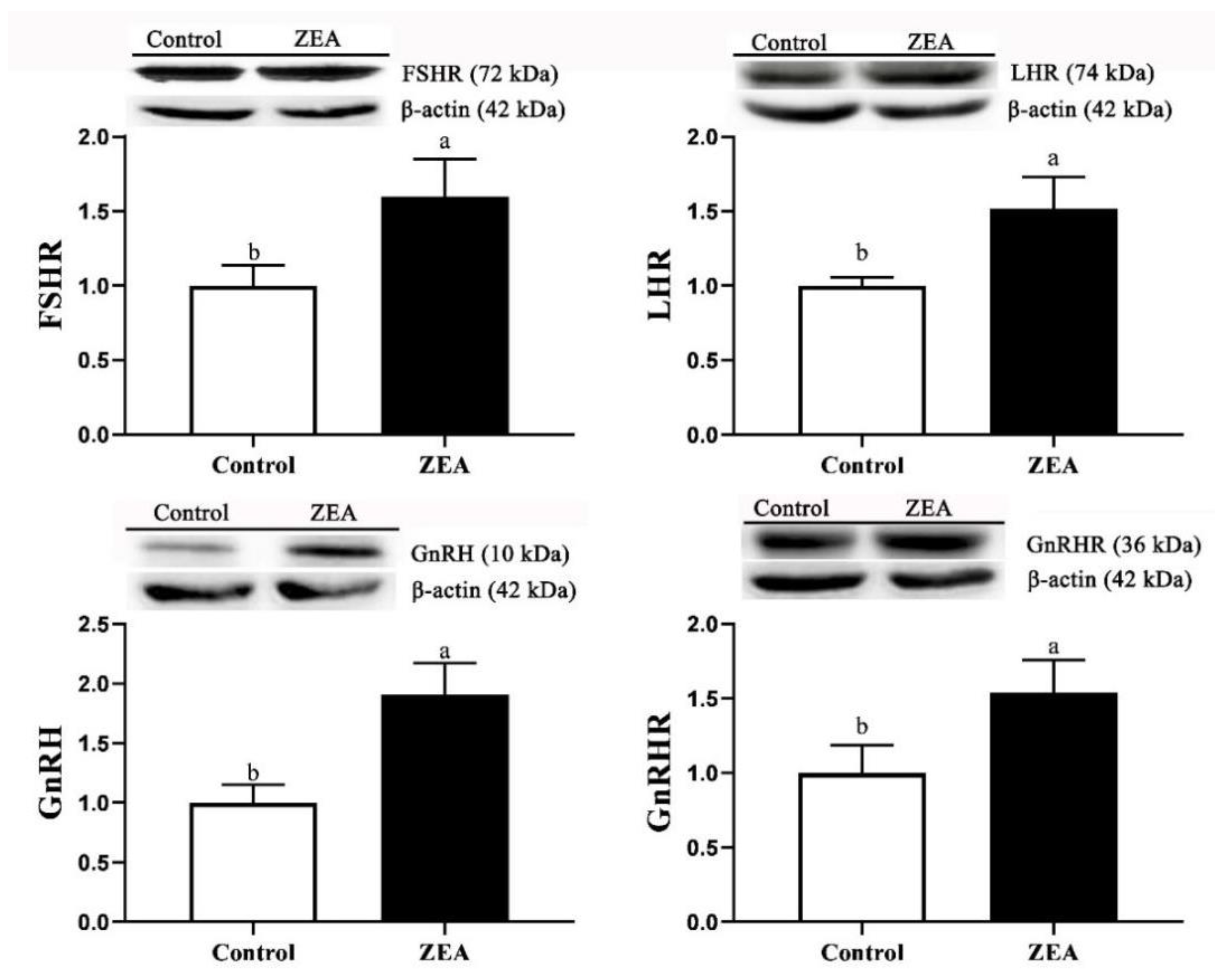 Toxins 13 00626 g005