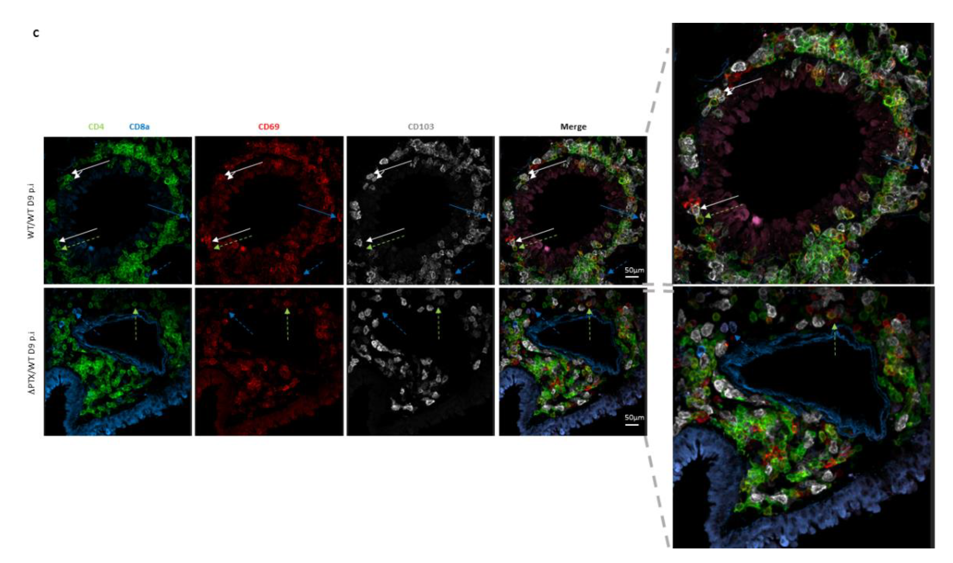 Toxins 13 00632 g003b