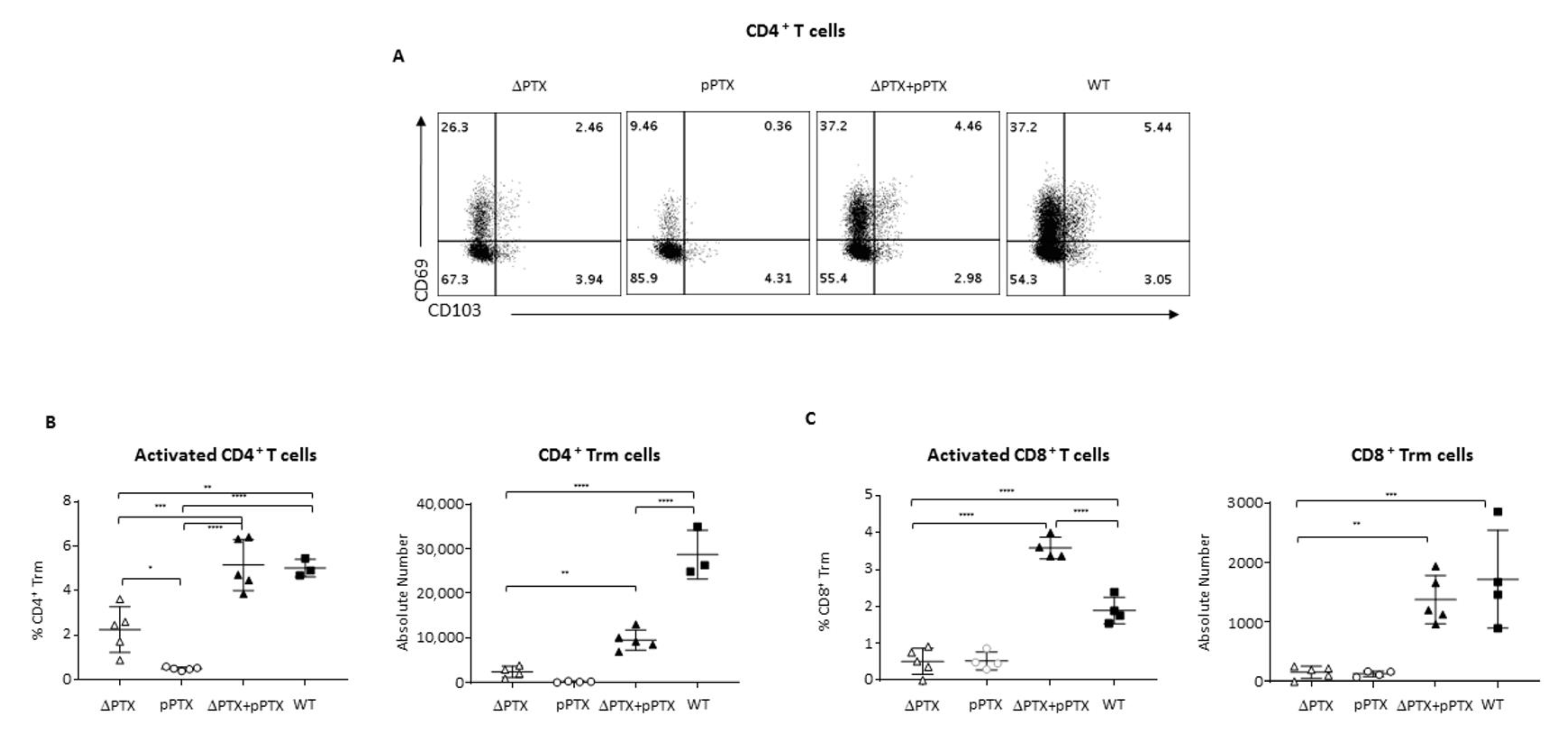 Toxins 13 00632 g004