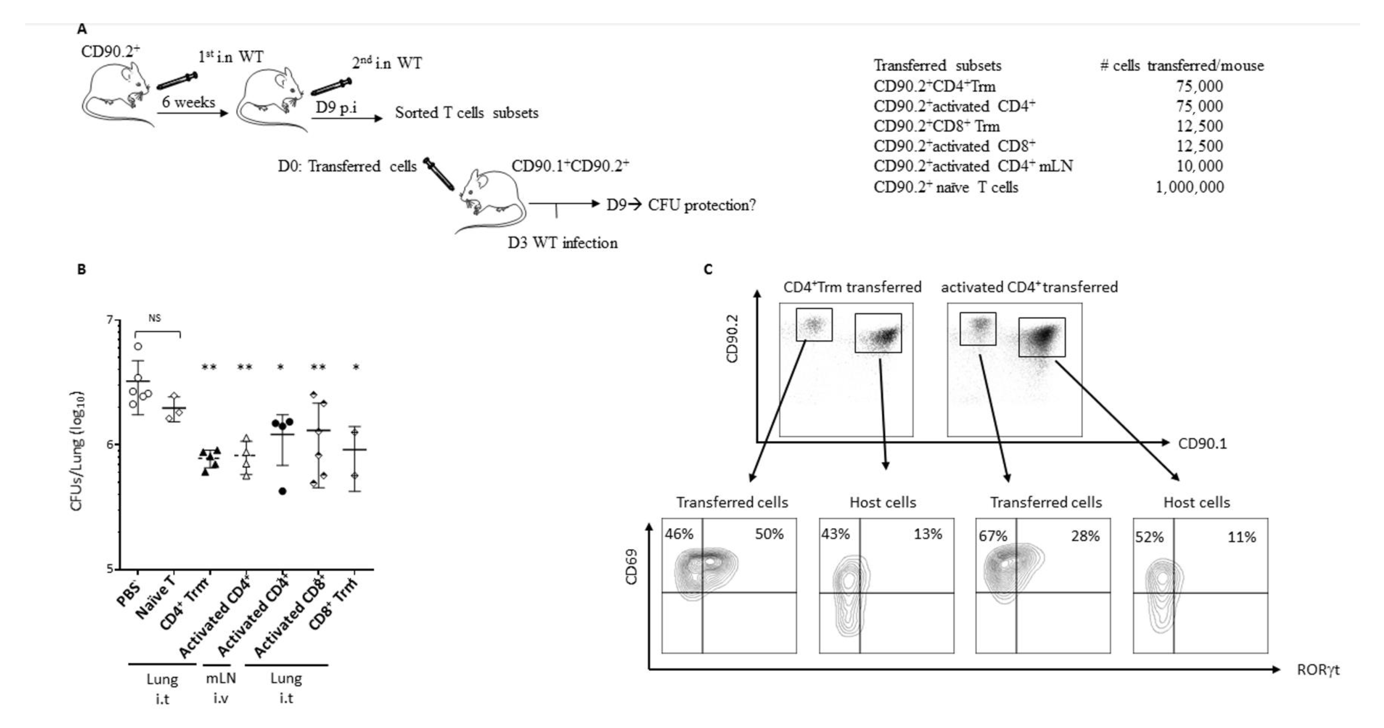 Toxins 13 00632 g005