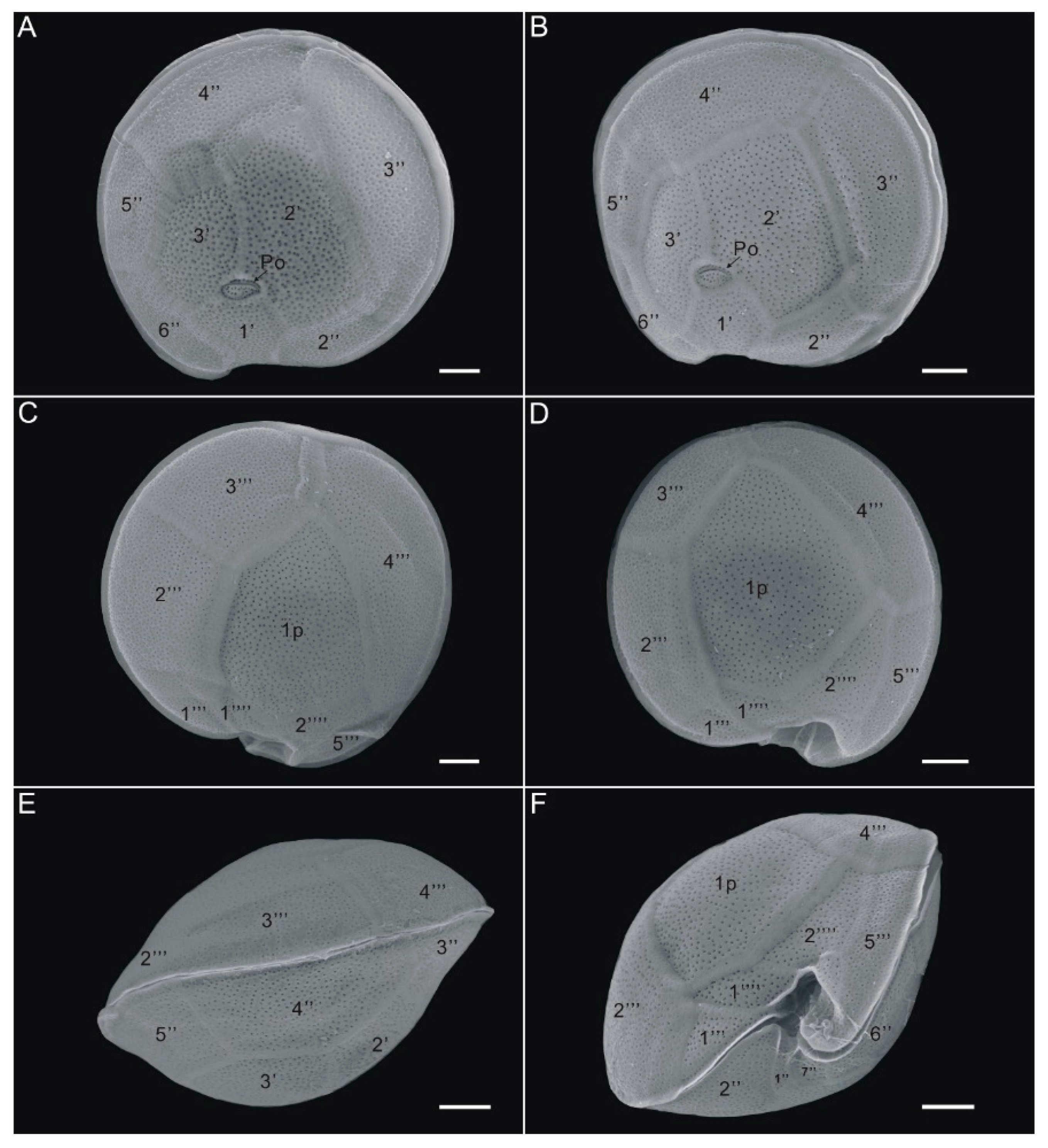 Toxins 13 00643 g001