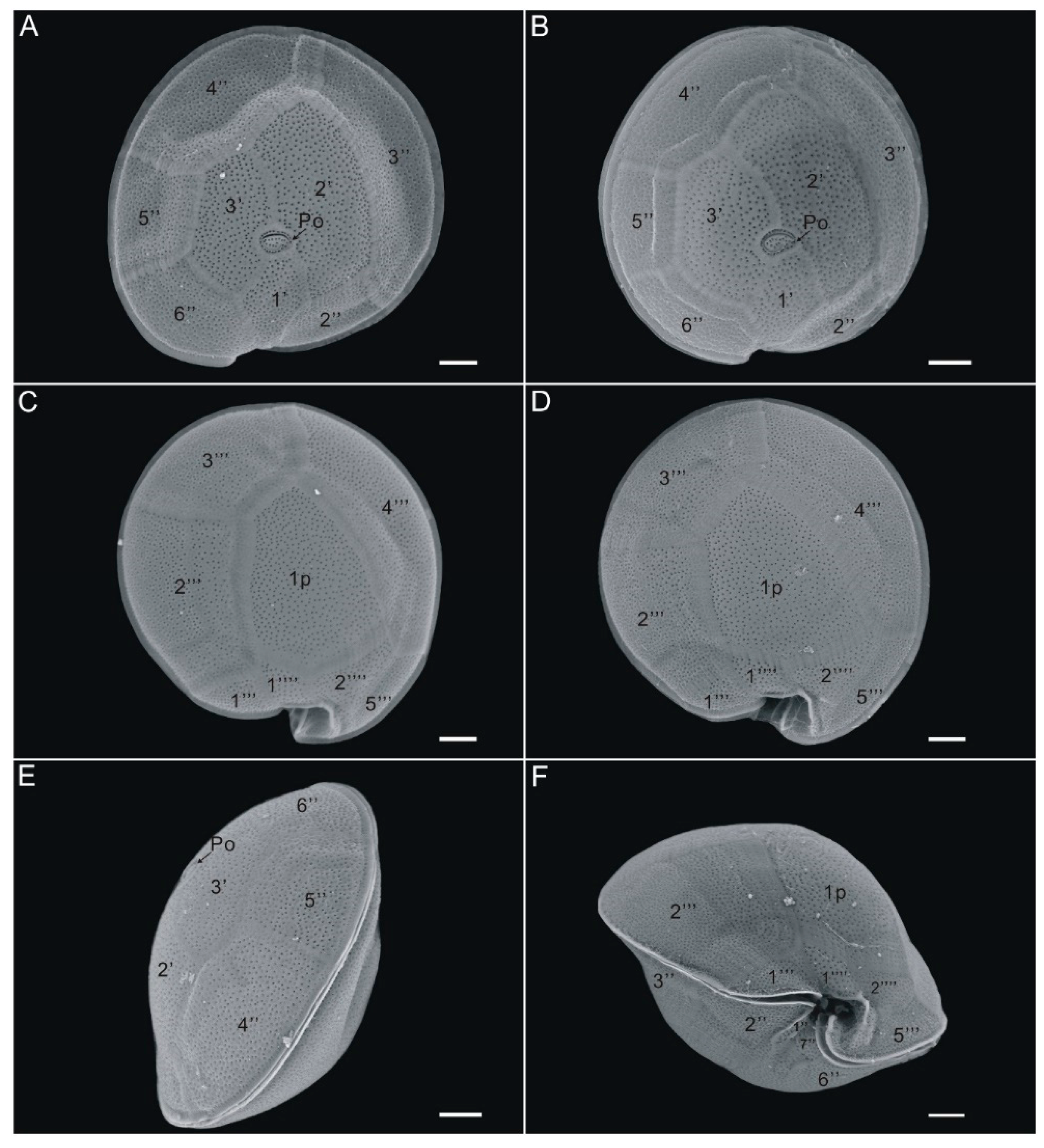 Toxins 13 00643 g002