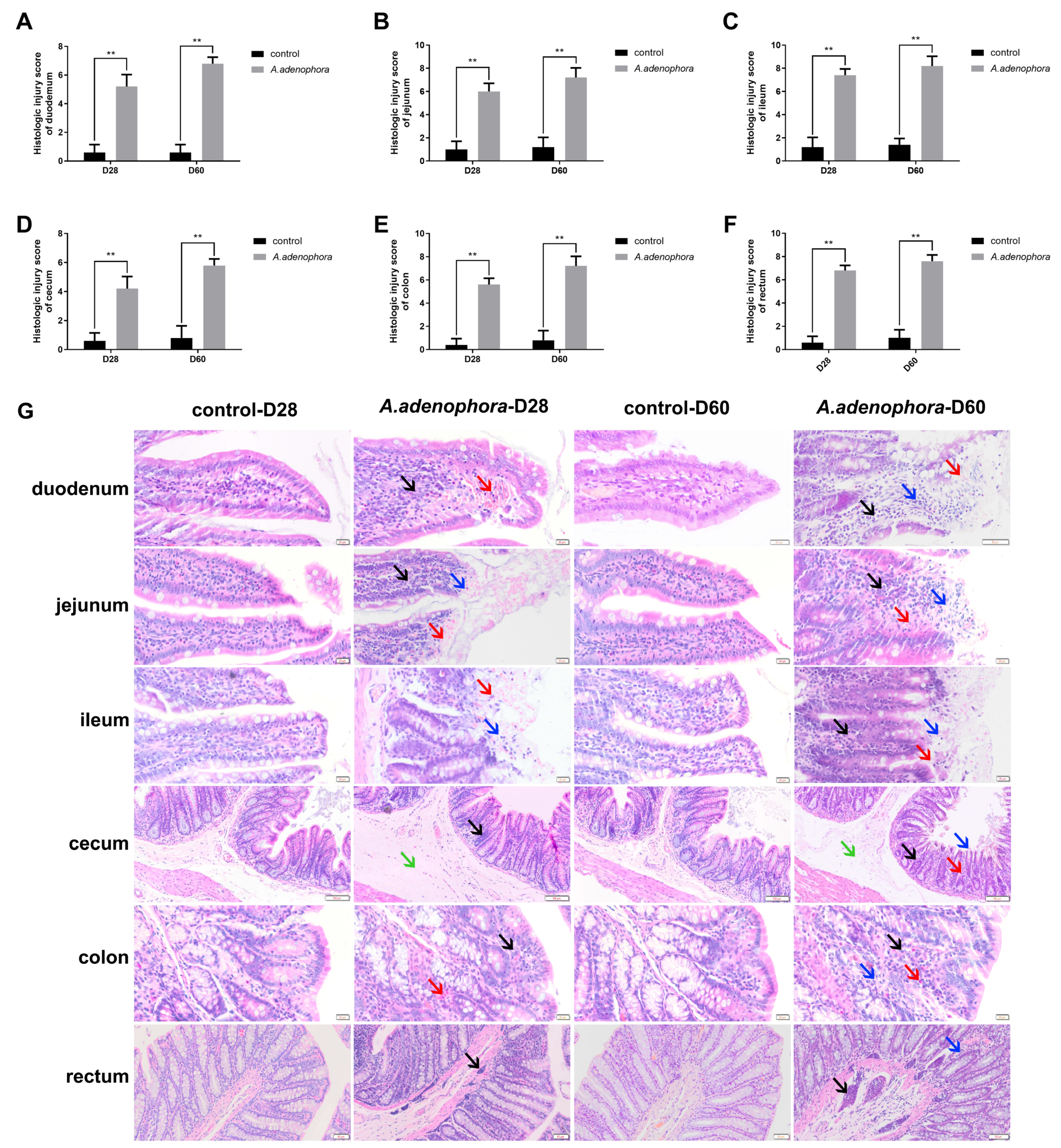 Toxins 13 00651 g001