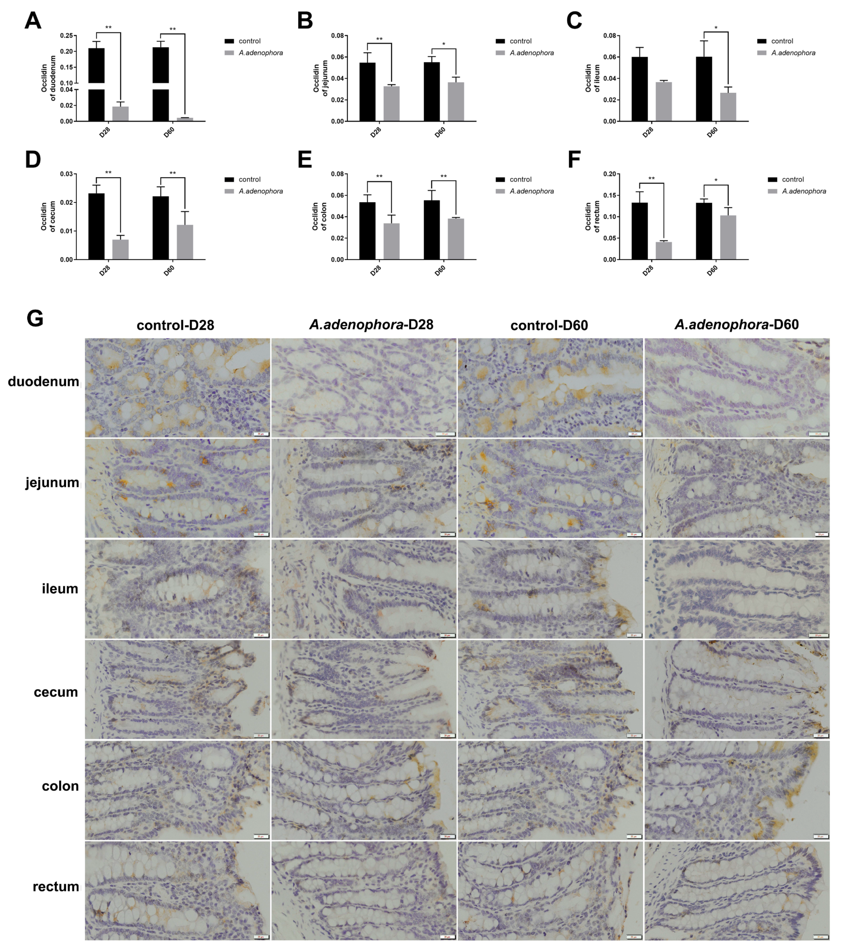 Toxins 13 00651 g004