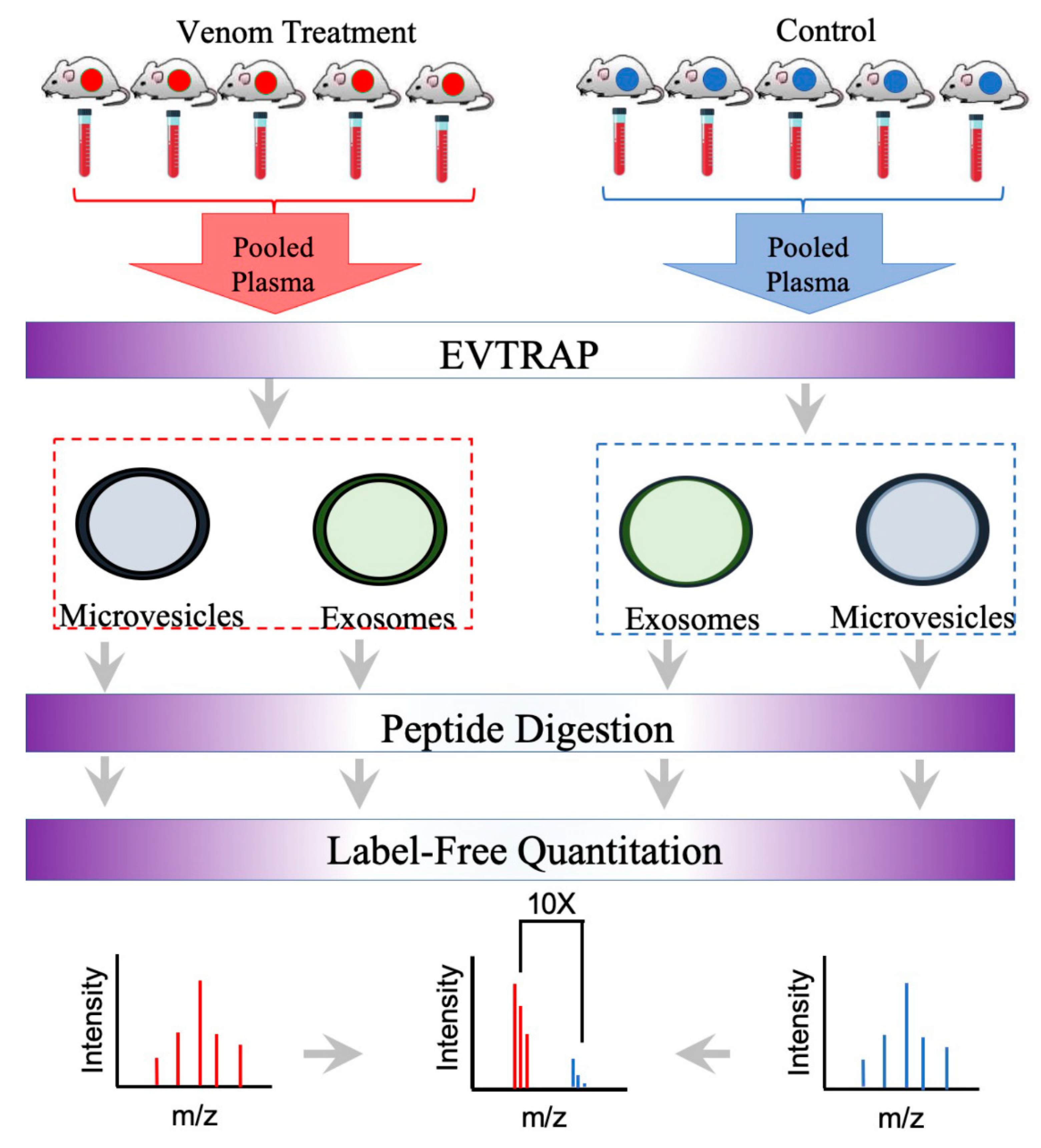 Toxins 13 00654 g005