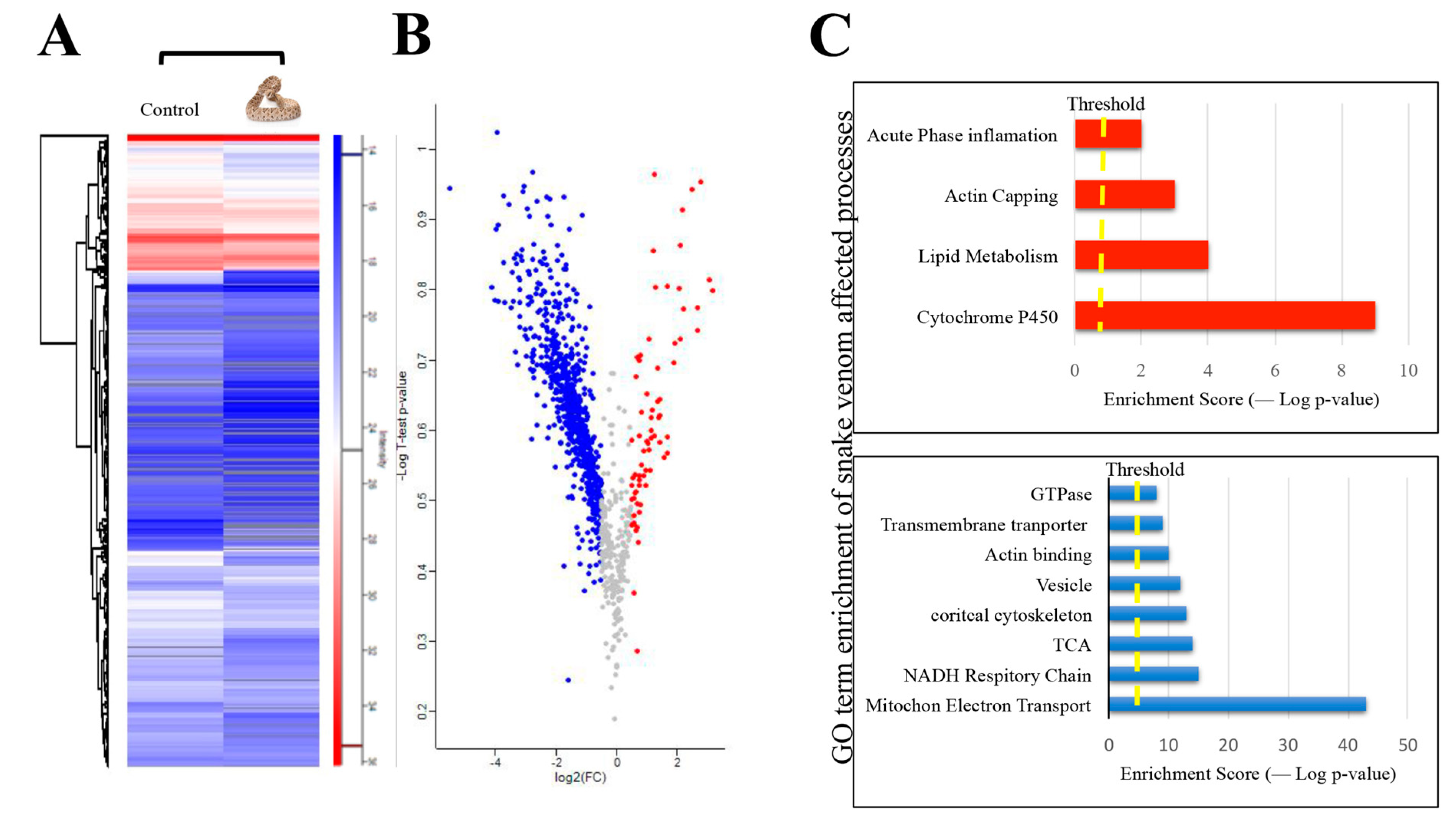 Toxins 13 00654 g007