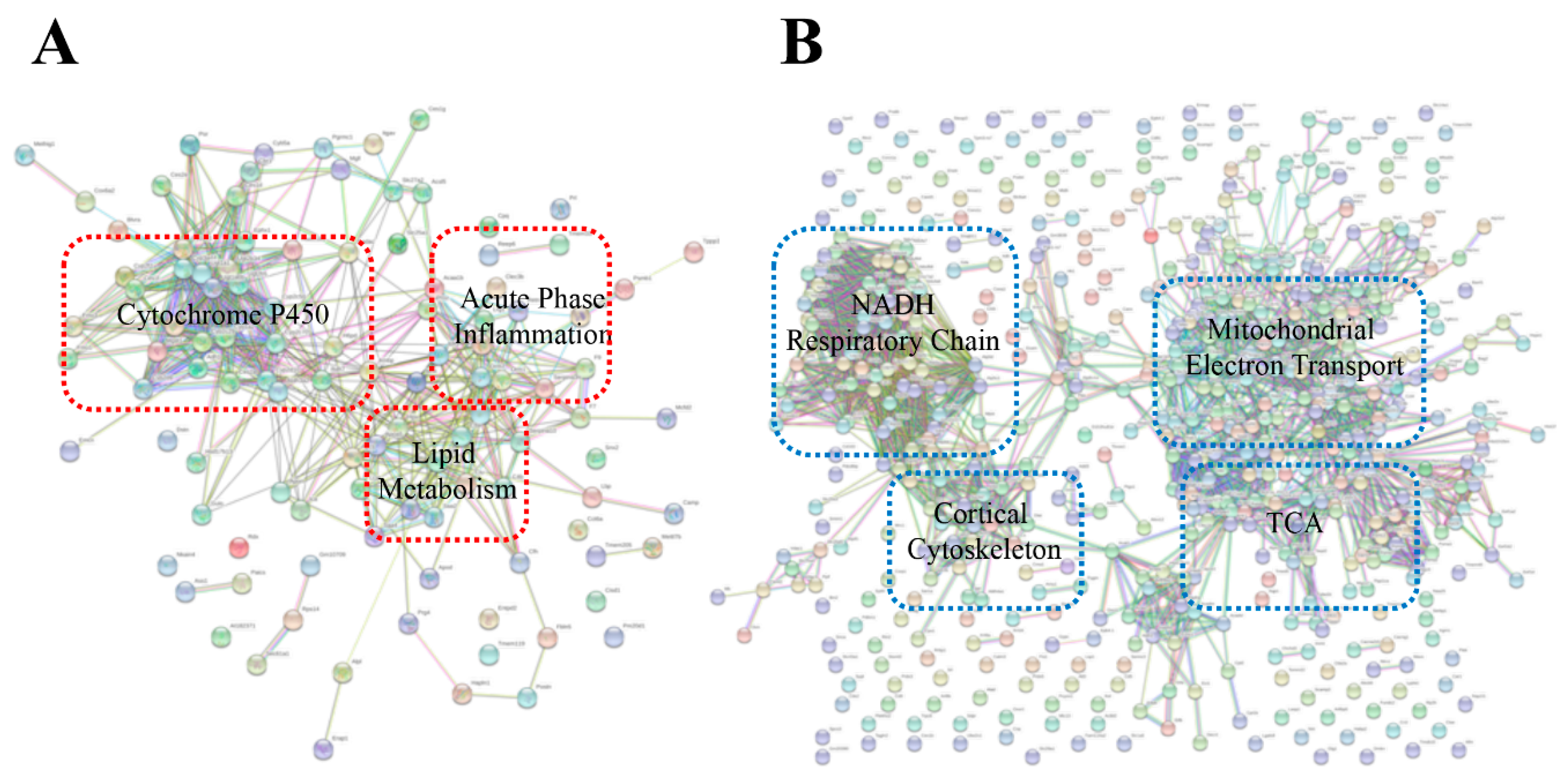 Toxins 13 00654 g008