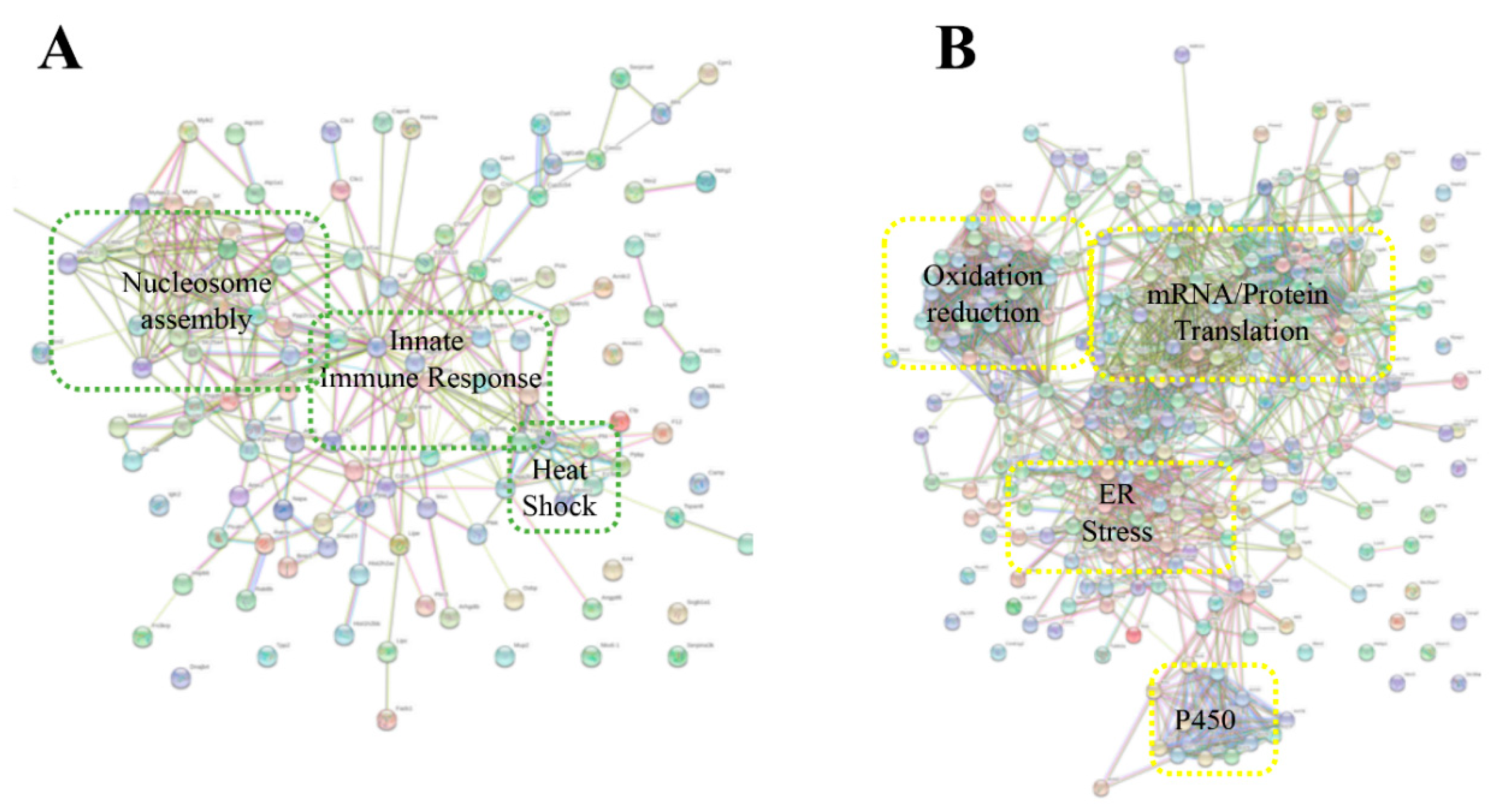 Toxins 13 00654 g010