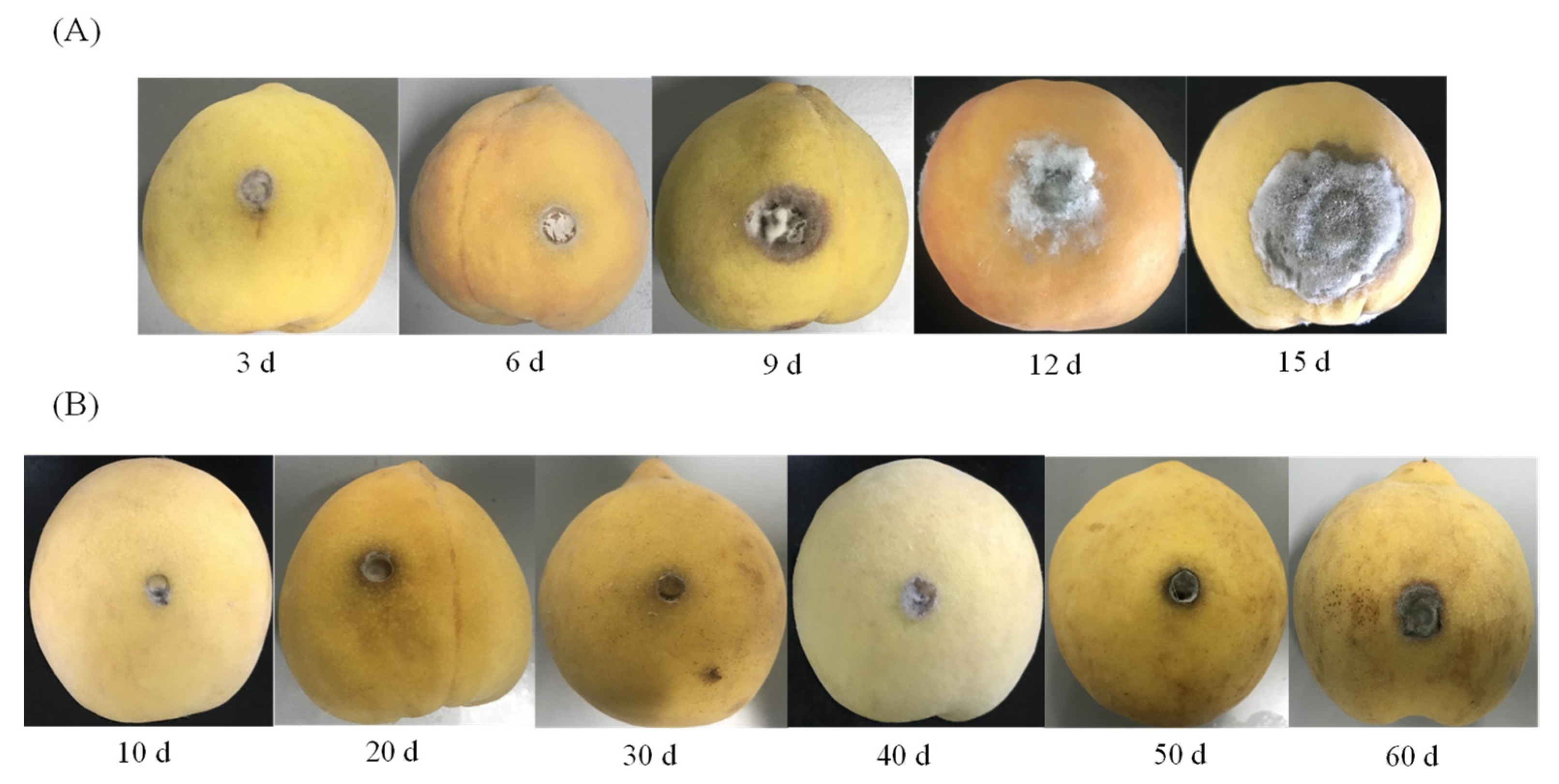 Toxins 13 00656 g002