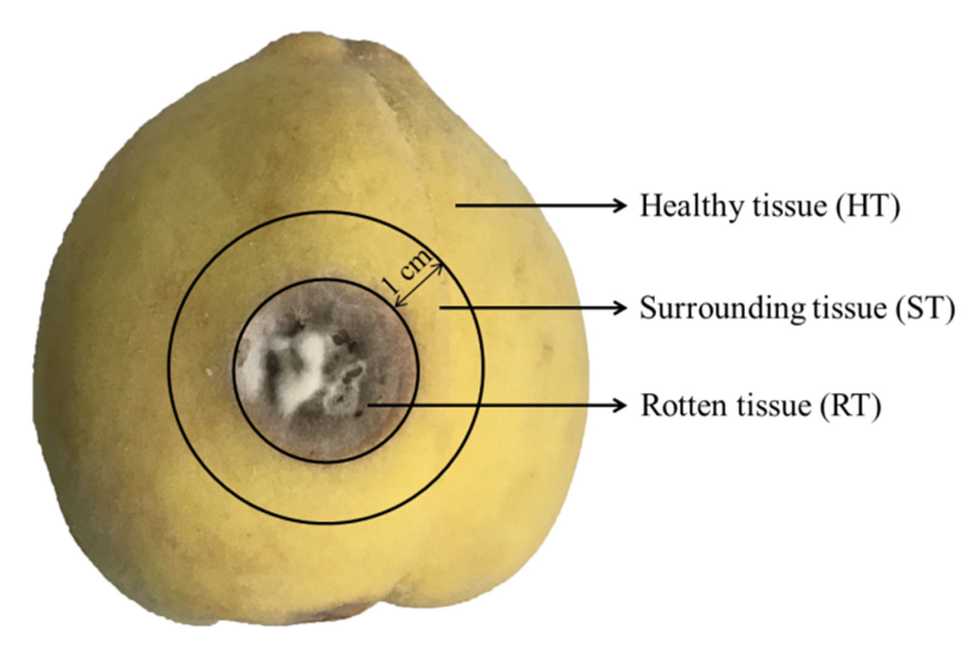 Toxins 13 00656 g006