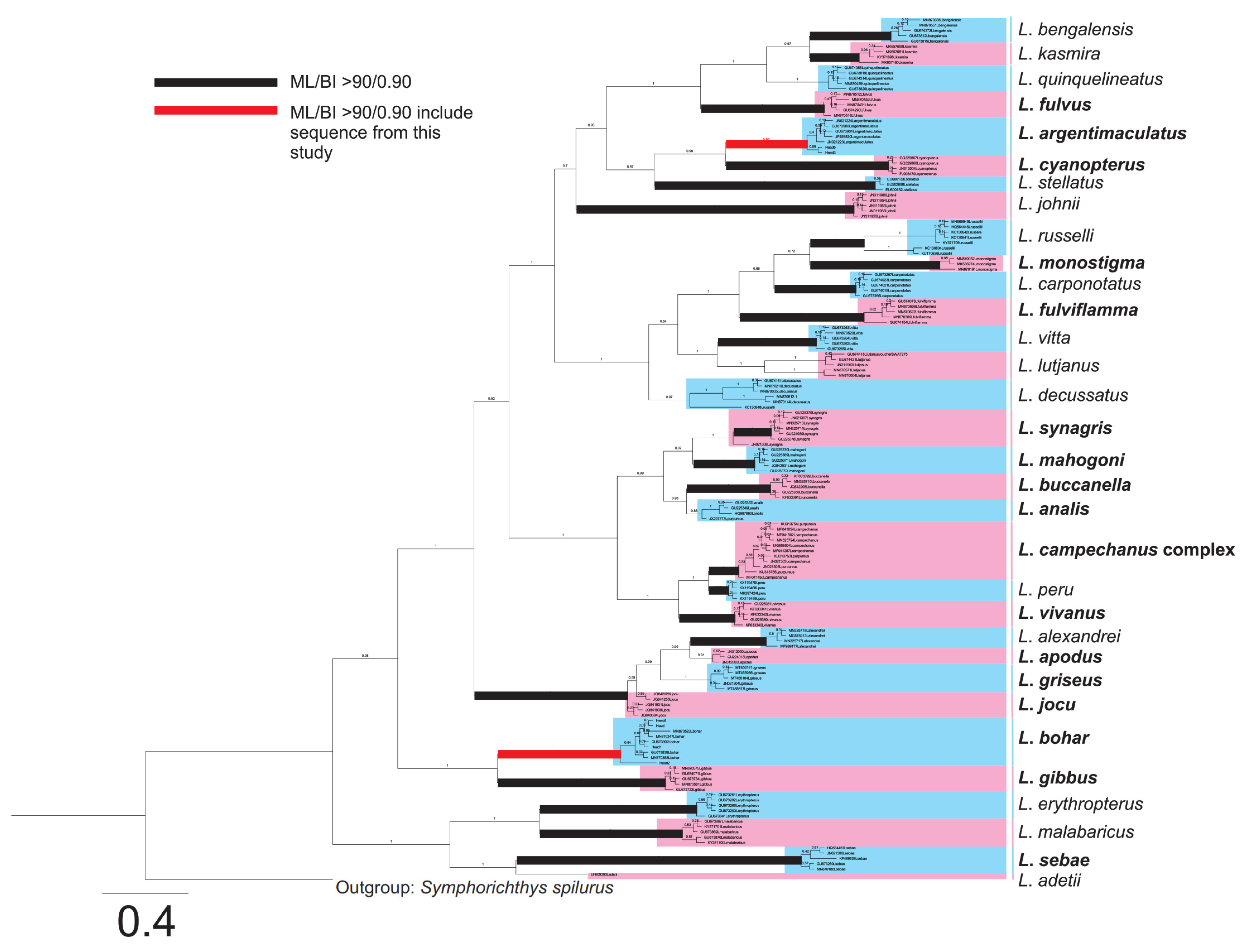 Toxins 13 00657 g001