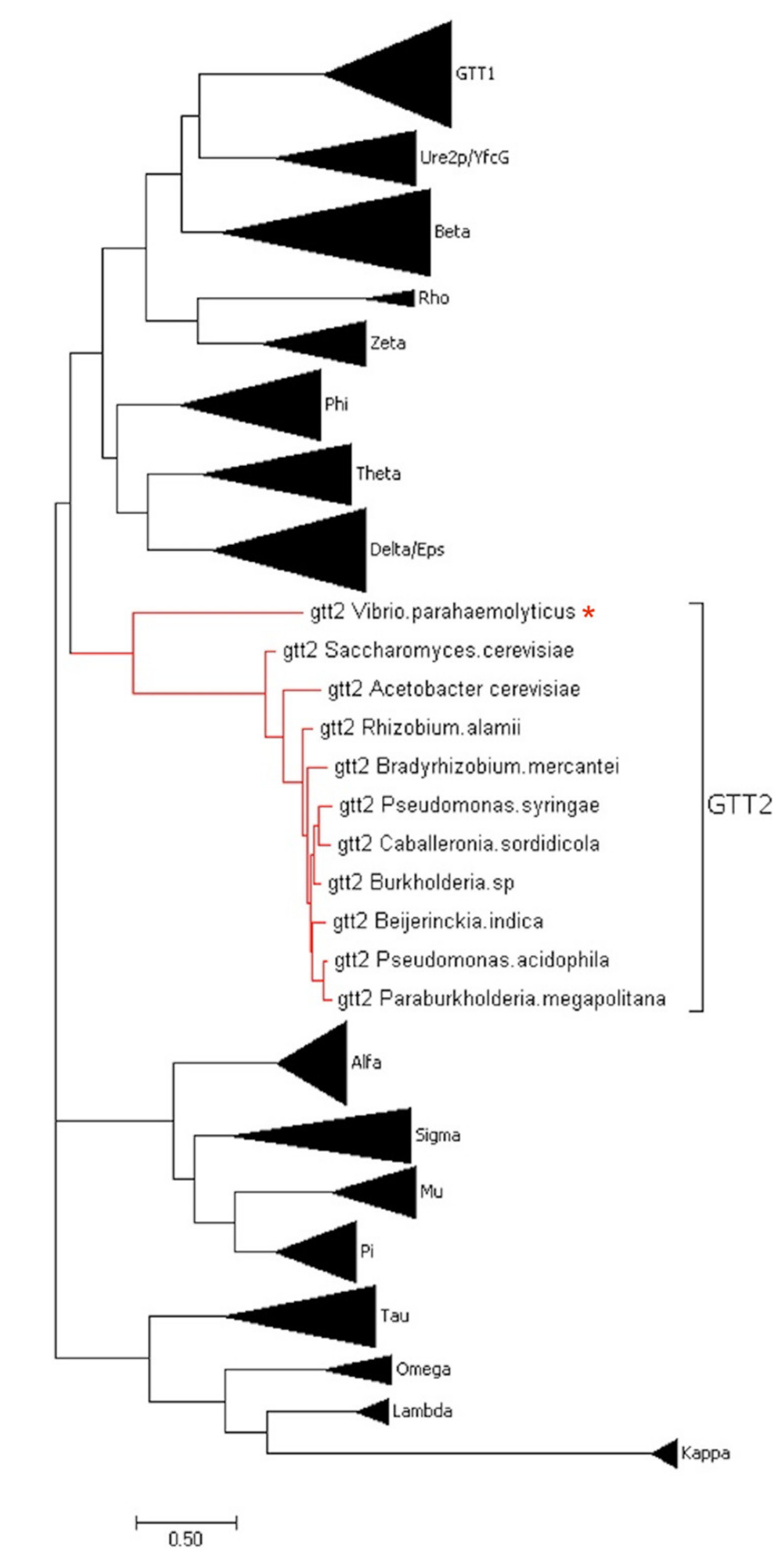 Toxins 13 00664 g001
