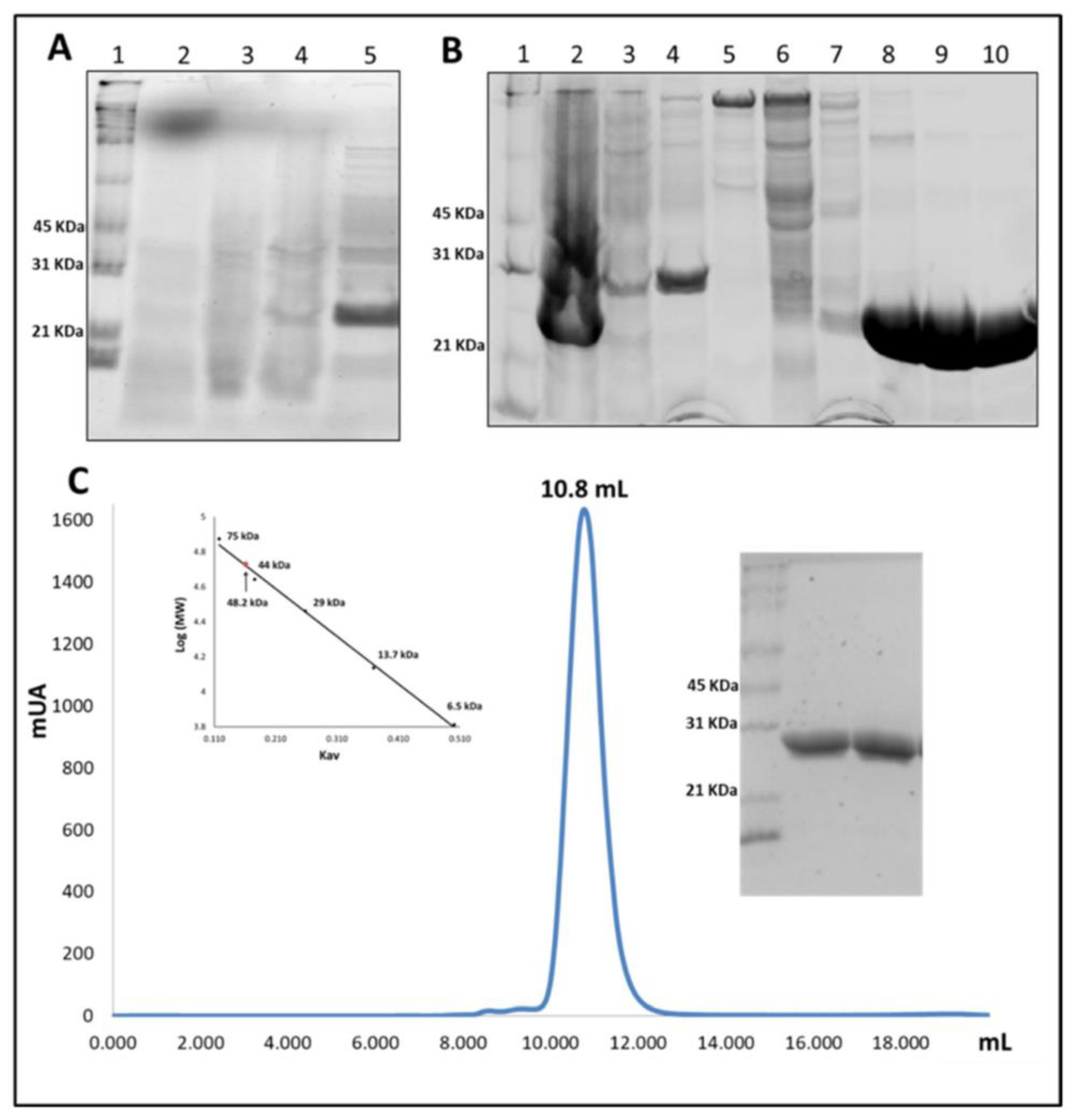 Toxins 13 00664 g003