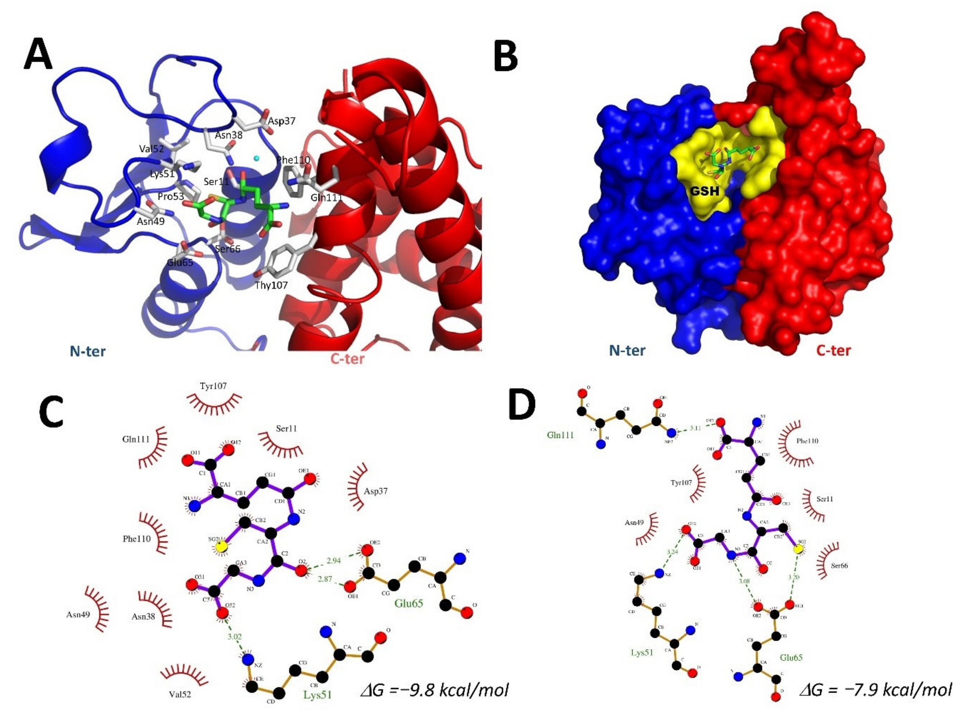 Toxins 13 00664 g008