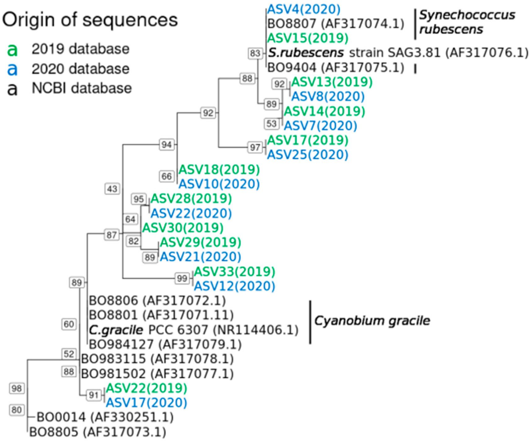 Toxins 13 00666 g003