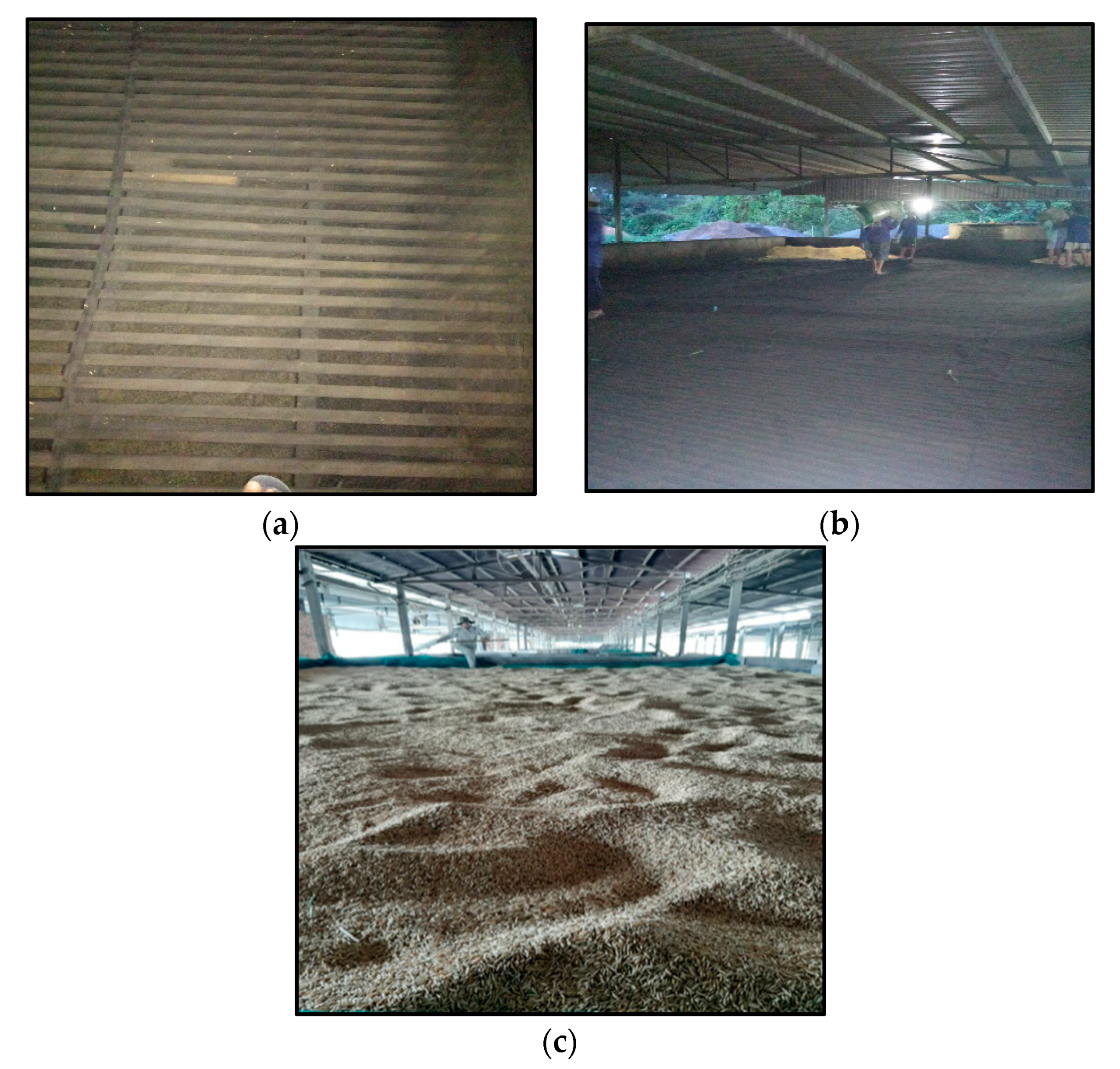 Toxins 13 00667 g007