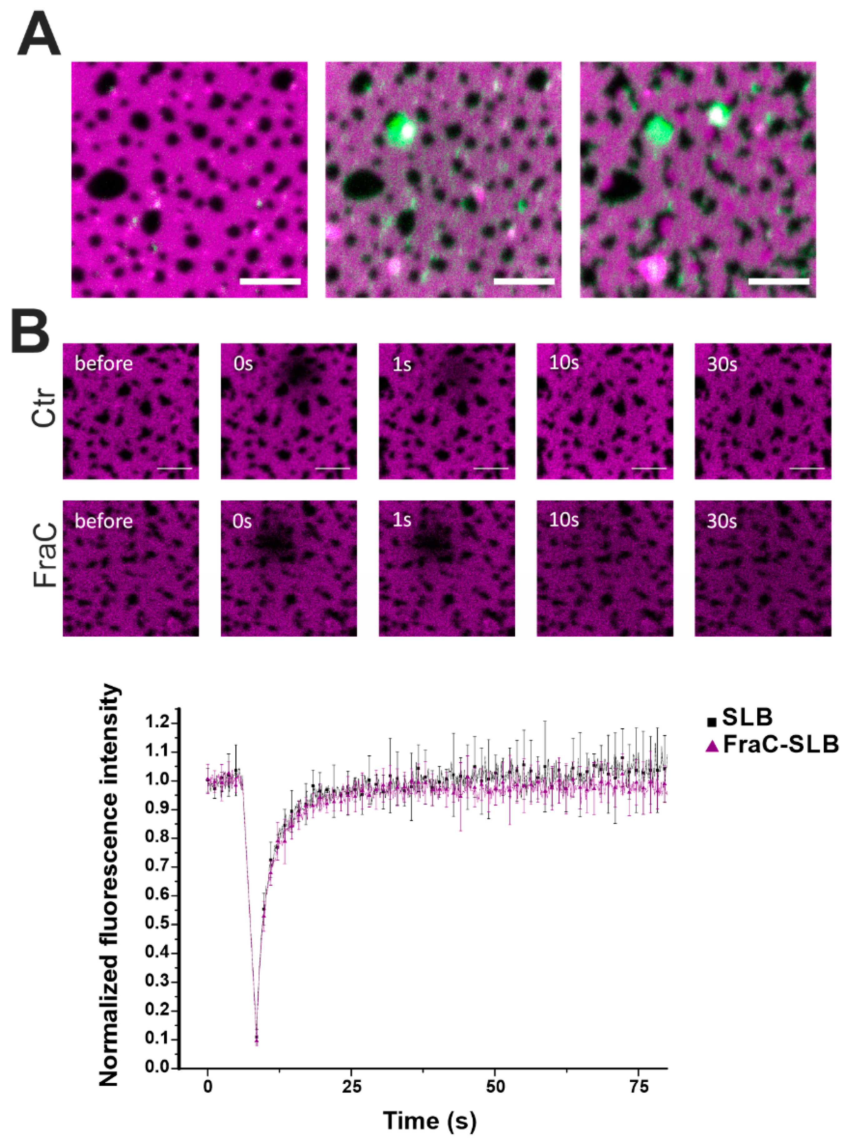 Toxins 13 00669 g006