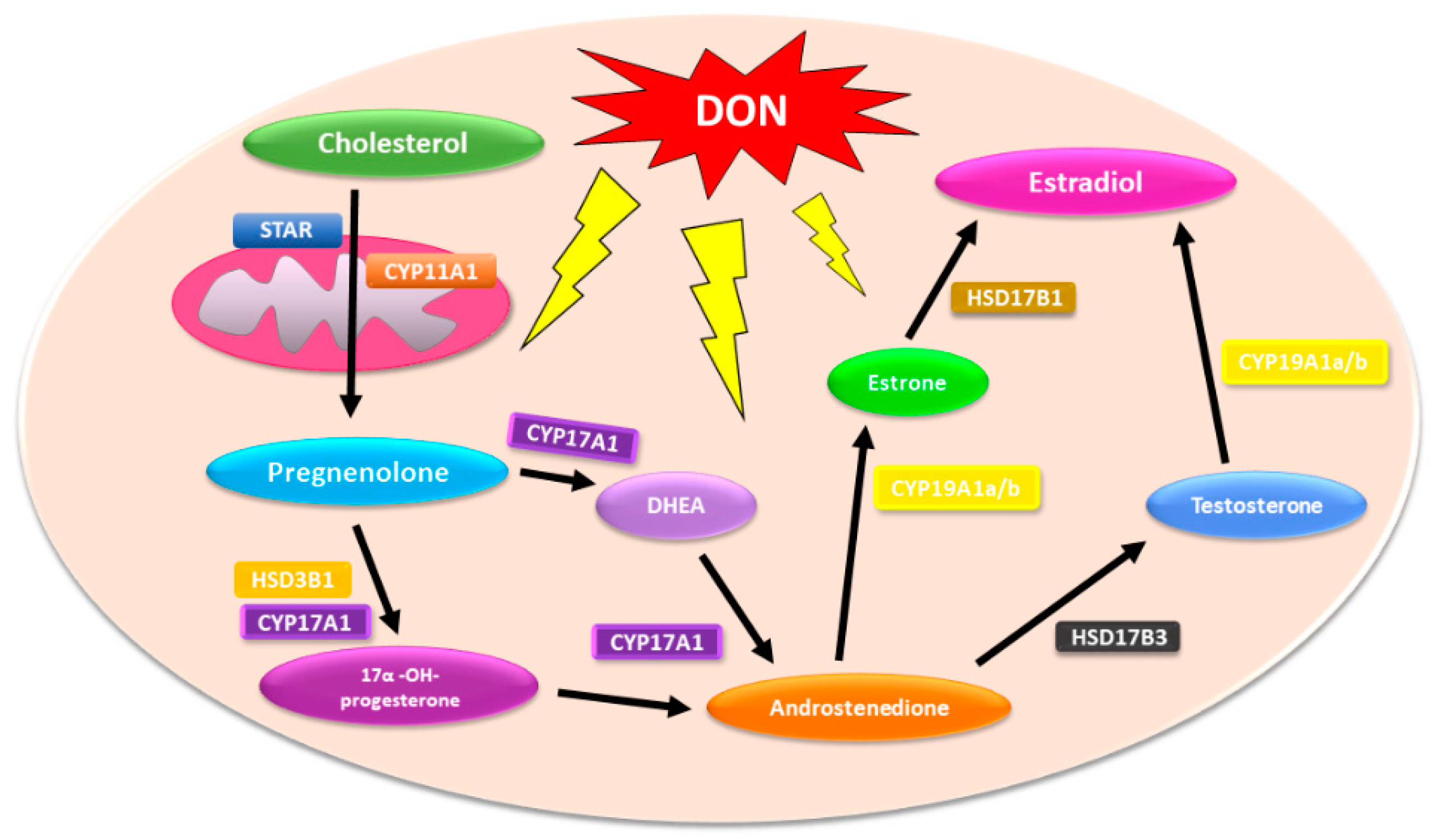 Toxins 13 00685 g001