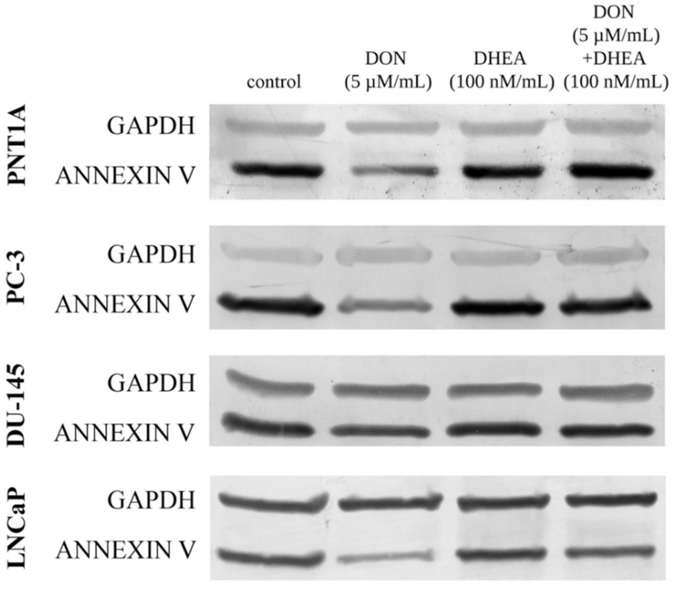 Toxins 13 00685 g004