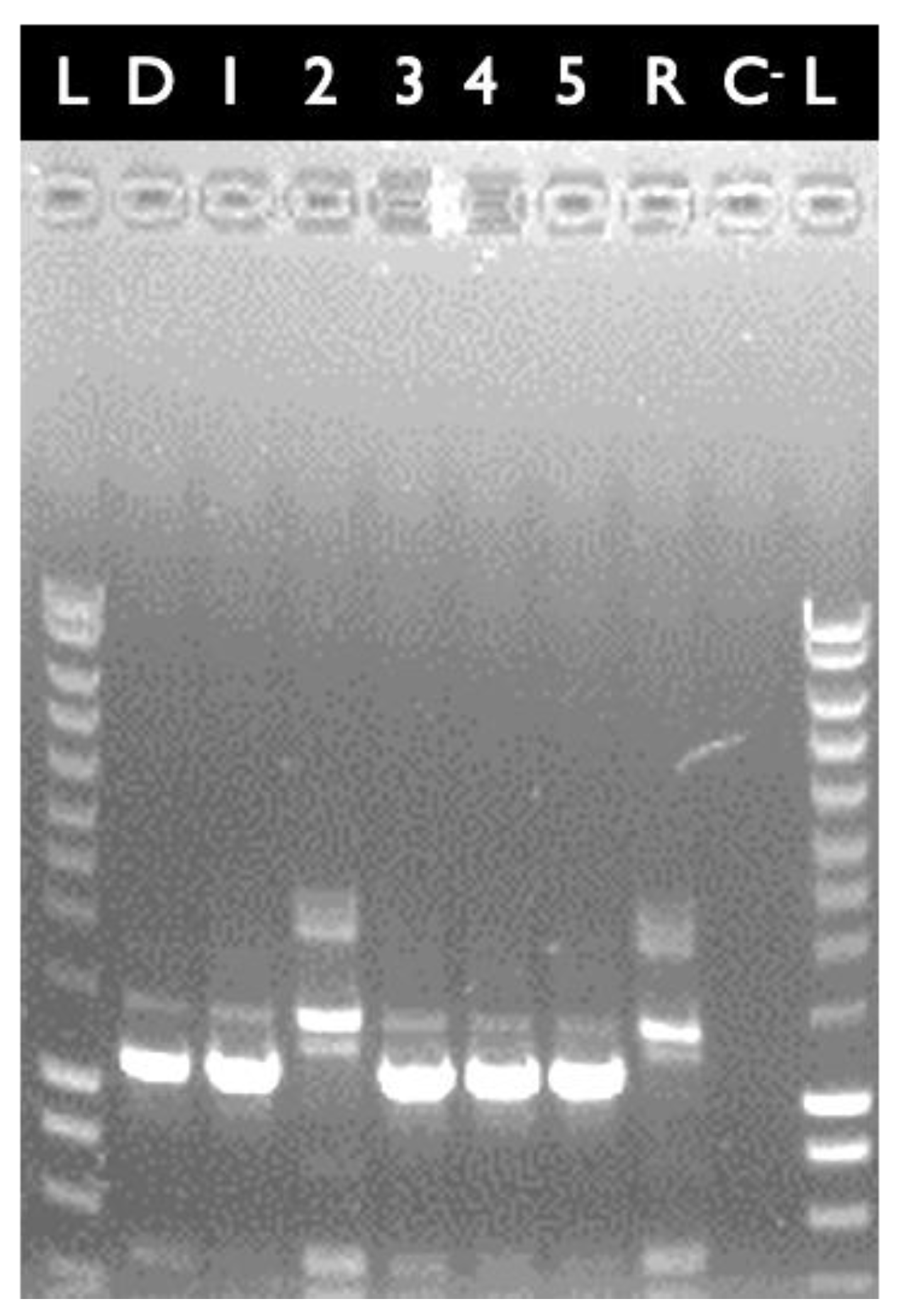 Toxins 13 00698 g002