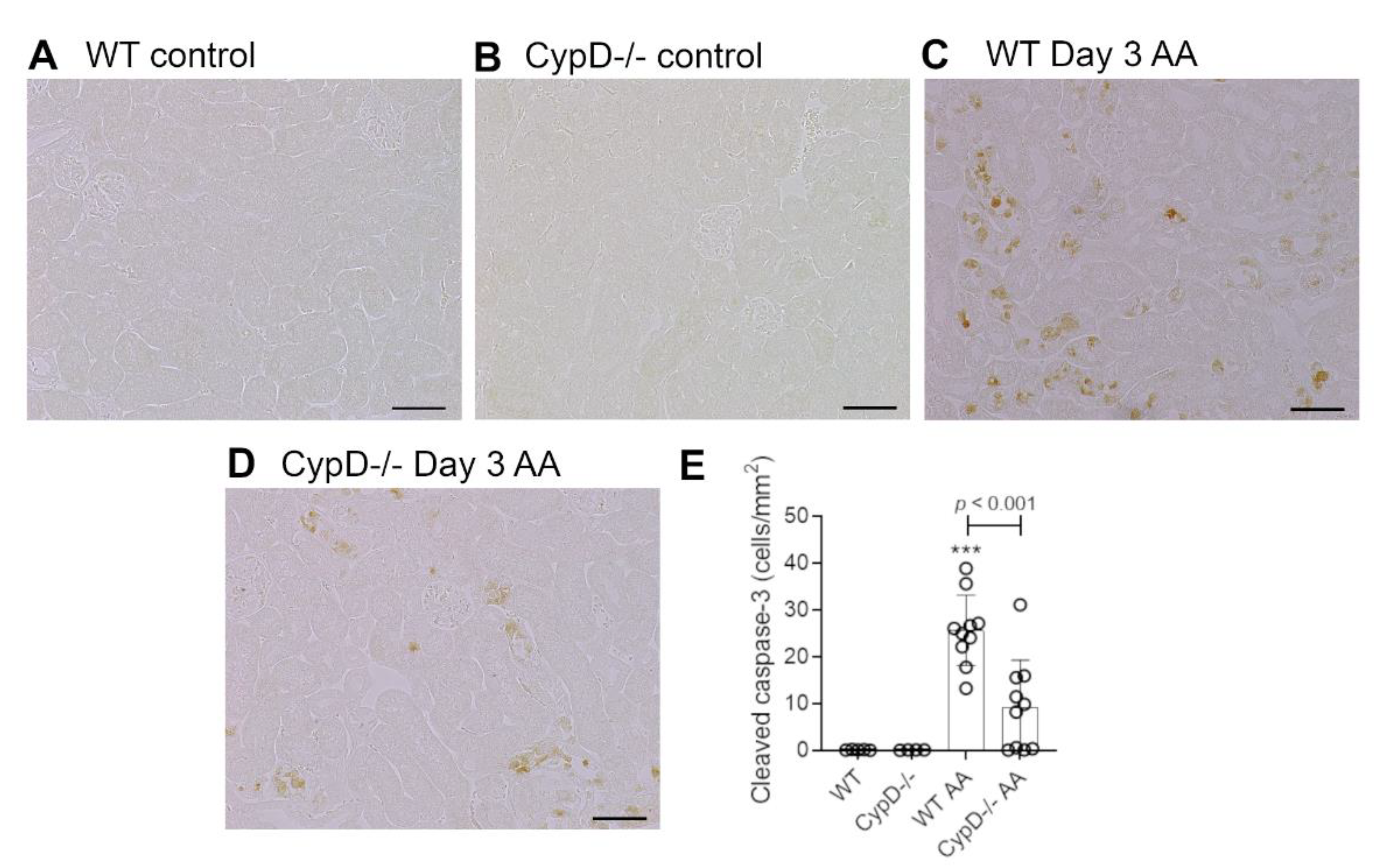 Toxins 13 00700 g002