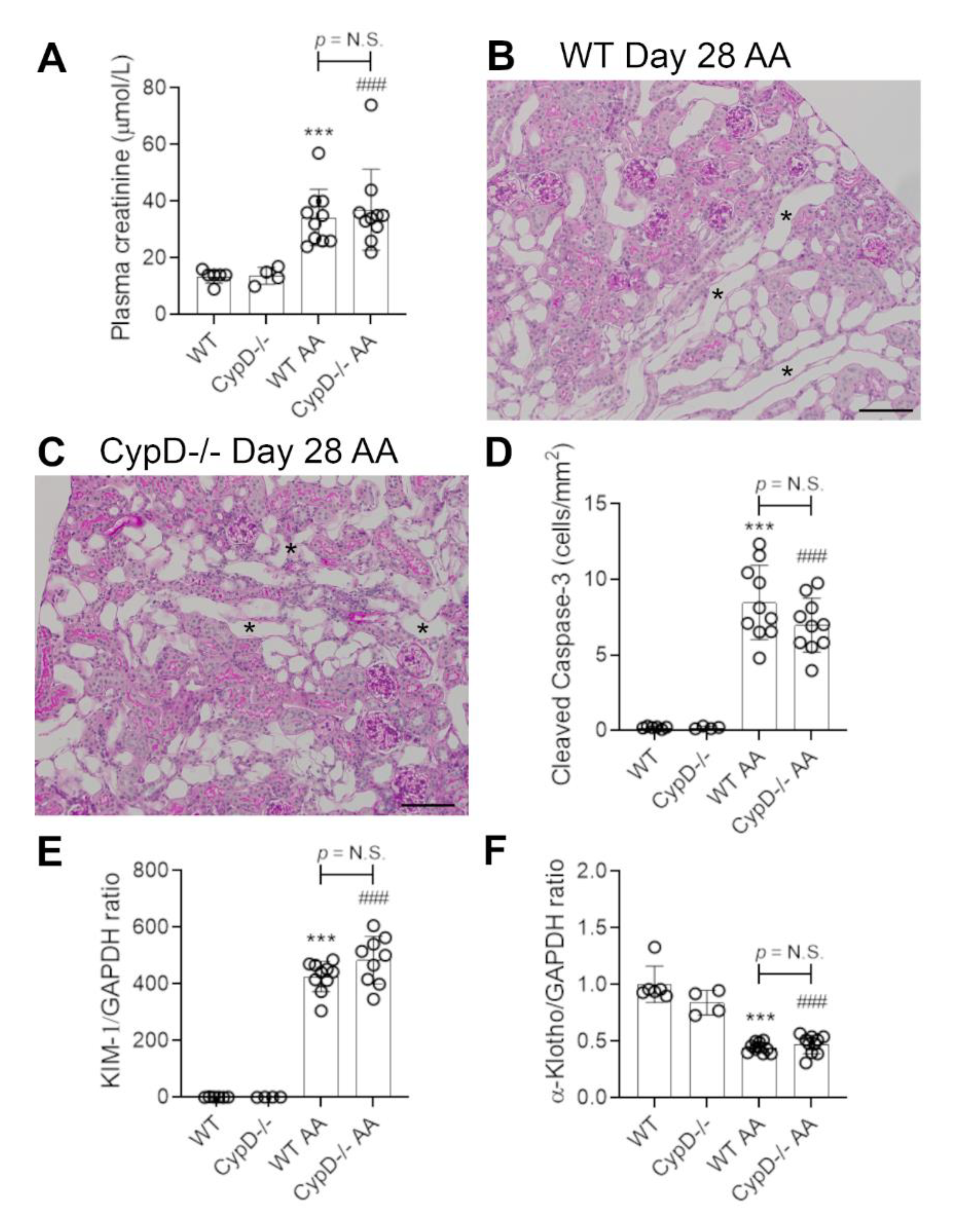 Toxins 13 00700 g006