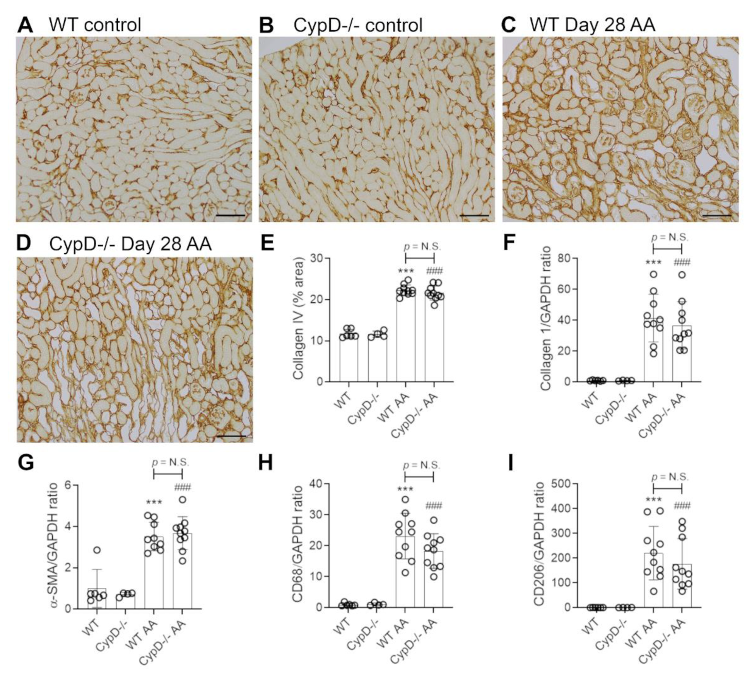 Toxins 13 00700 g007