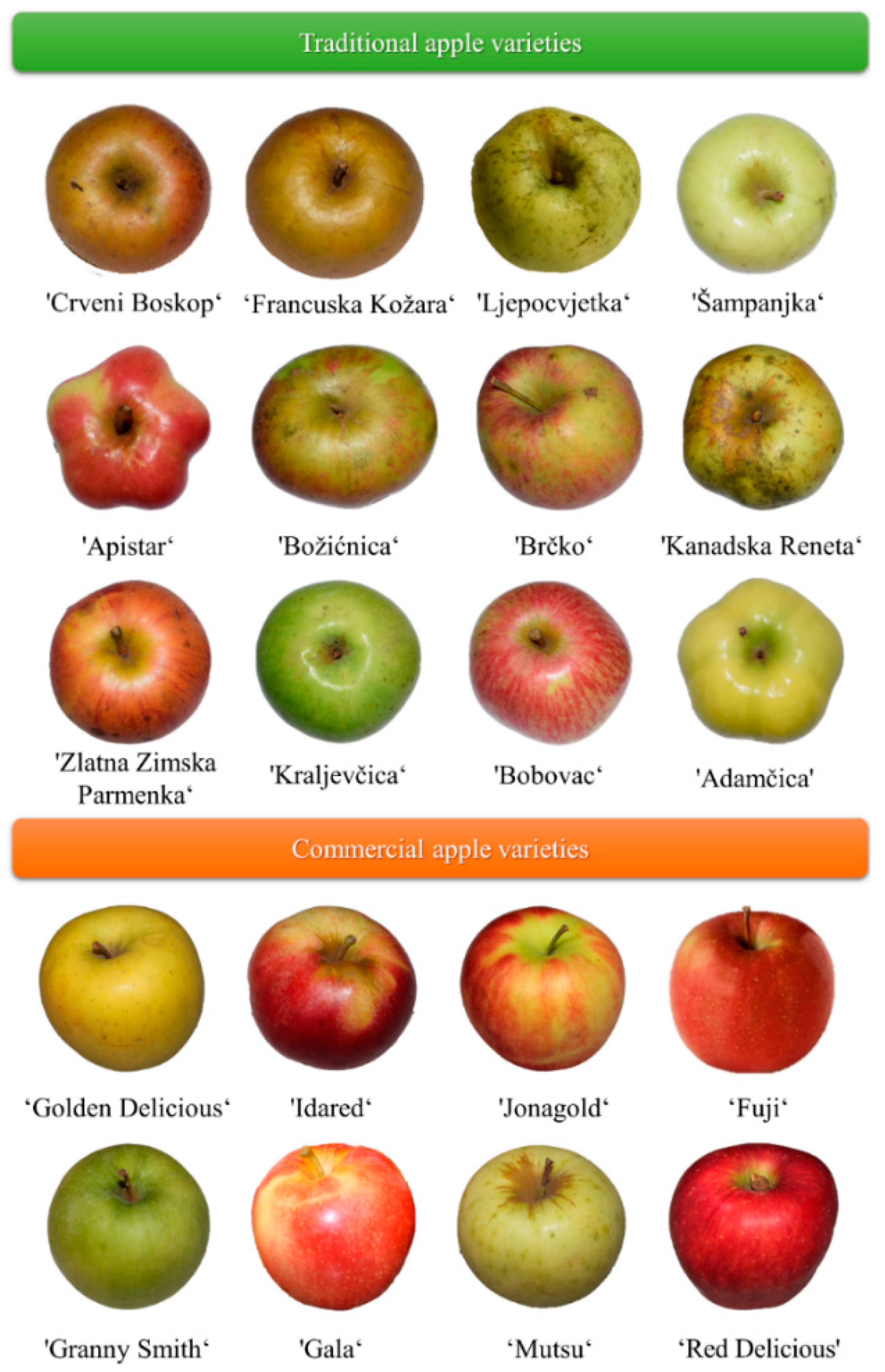 Toxins 13 00703 g004