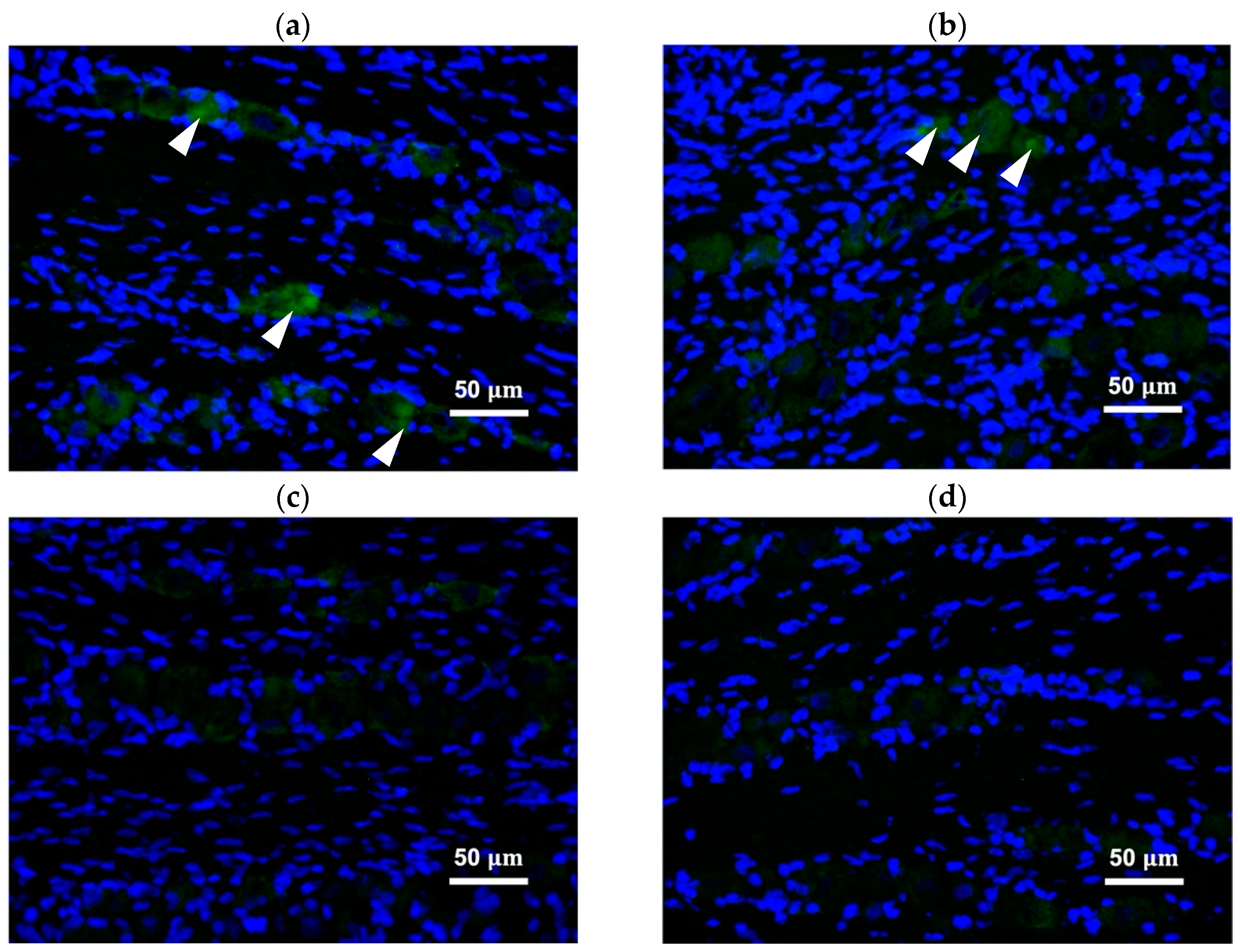 Toxins 13 00704 g003